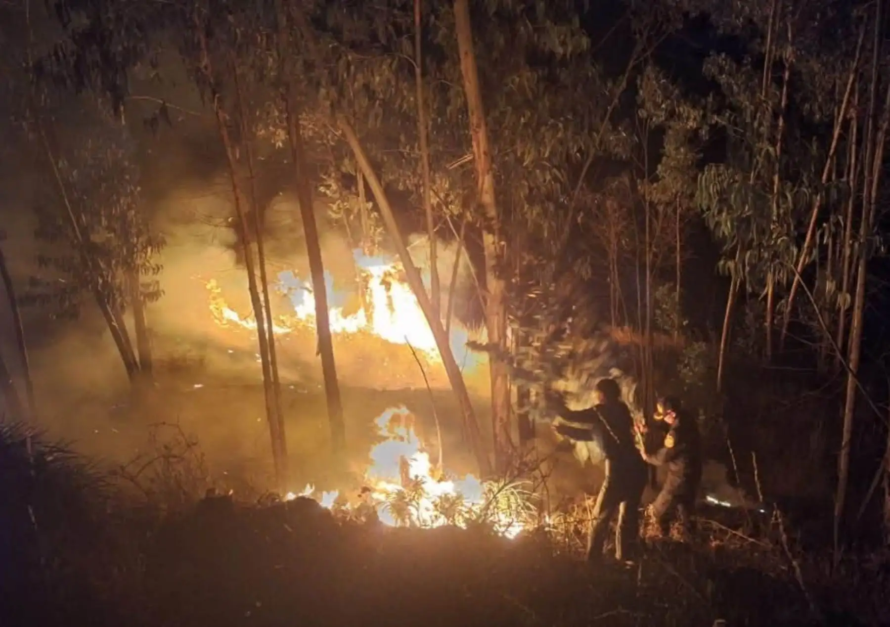 Autoridades y brigadistas combaten 13 incendios forestales que afectan a siete regiones