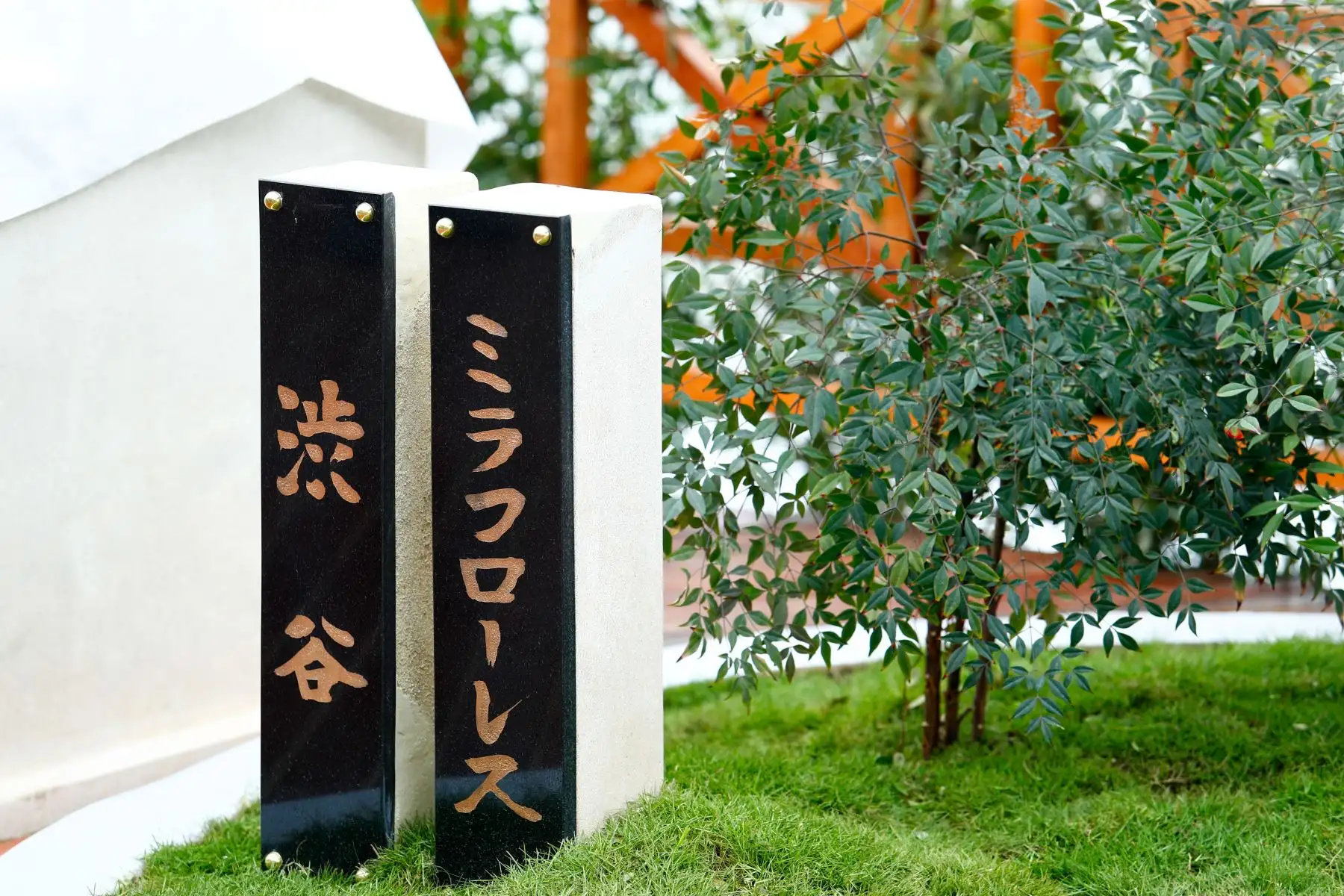 En el Malecón de la Marina, en el distrito de Miraflores, se inauguró el parque Shibuya el martes 4 de agosto de 2026, que conmemora la hermandad entre el Perú y Japón. Su principal atractivo es la estatua en honor al famoso perro Hachiko. Foto: ANDINA/Daniel Bracamonte