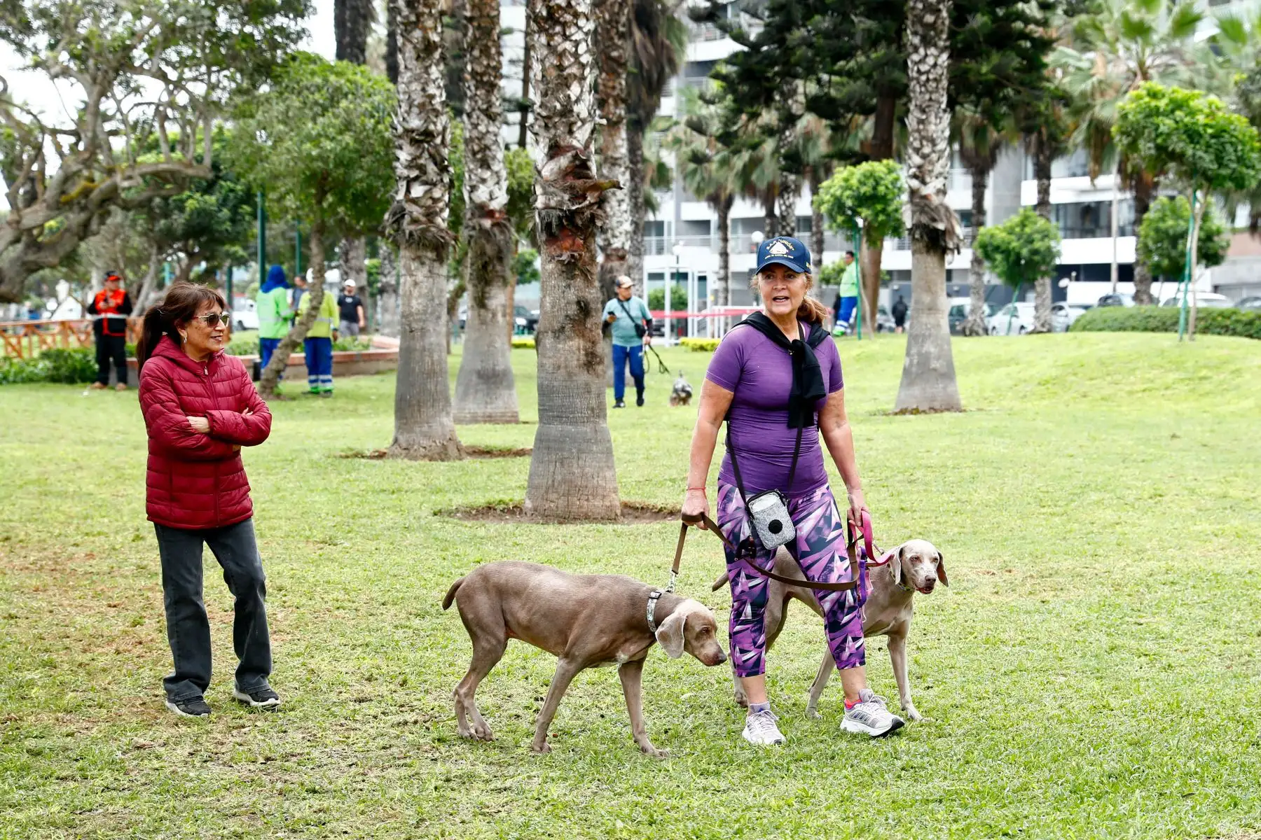 En el Malecón de la Marina, en el distrito de Miraflores, se inauguró el parque Shibuya el martes 4 de agosto de 2026, que conmemora la hermandad entre el Perú y Japón. Su principal atractivo es la estatua en honor al famoso perro Hachiko. Foto: ANDINA/Daniel Bracamonte
