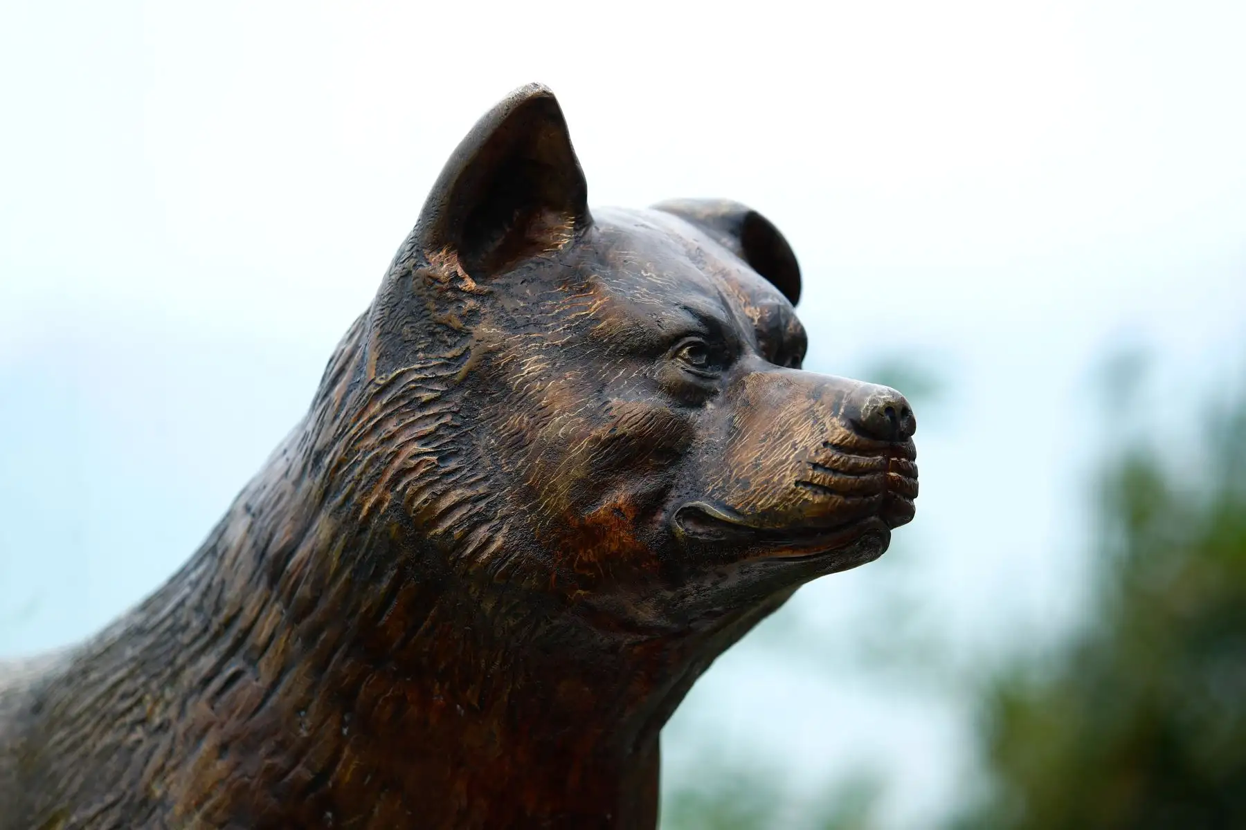En el Malecón de la Marina, en el distrito de Miraflores, se inauguró el parque Shibuya el martes 4 de agosto de 2026, que conmemora la hermandad entre el Perú y Japón. Su principal atractivo es la estatua en honor al famoso perro Hachiko. Foto: ANDINA/Daniel Bracamonte
