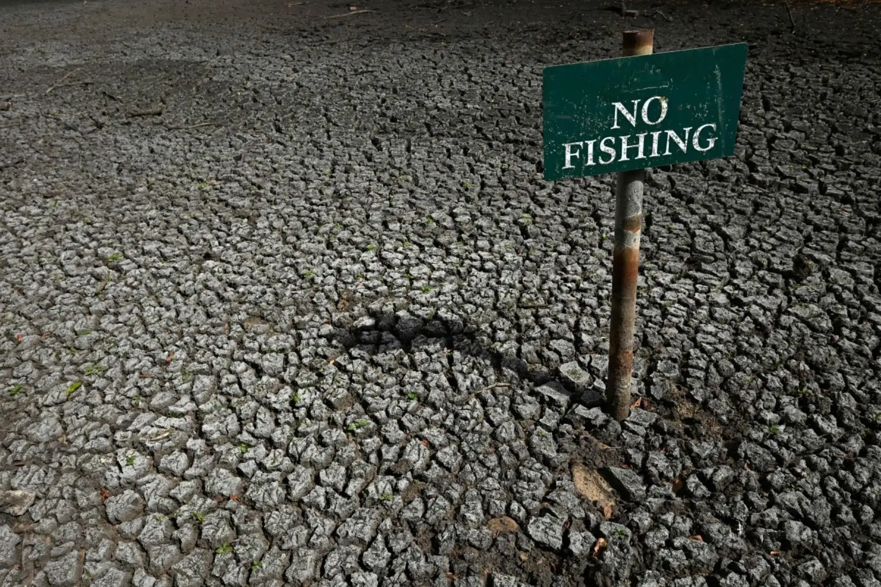 Letrero de «Prohibido pescar» en el estanque Falmer, actualmente seco, situado en East Sussex, al sur de Londres. Tanto Inglaterra como Gales registraron el «julio más seco jamás documentado», según informó ese mismo día la agencia meteorológica del Reino Unido (Met Office) basándose en cifras provisionales. AFP
