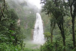 El Santuario Nacional Cordillera de Colán, área natural protegida ubicada en la región Amazonas, contará con un nuevo Plan Maestro que estará vigente para el período 2026 - 2031.