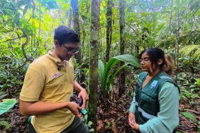 El público podrá conocer cómo trabajan los investigadores en la reserva Allpahuayo Mishana. Foto: IIAP/Difusión.
