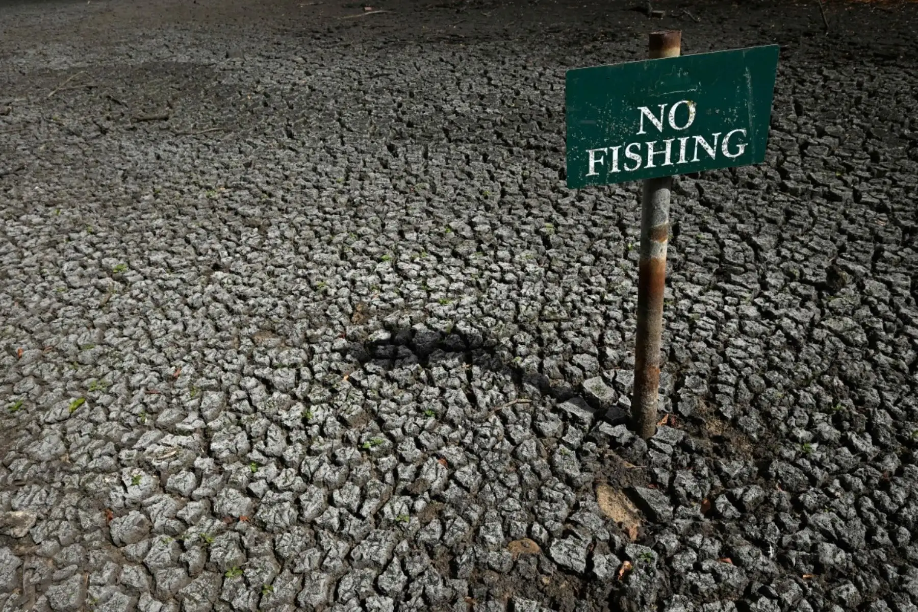 En la imagen, un cartel de "Prohibido pescar" aparece en el estanque seco de Falmer, en Falmer, East Sussex, al sur de Londres, el 5 de agosto de 2026. Inglaterra y Gales experimentaron el "julio más seco registrado", según informó la agencia meteorológica británica Met Office el 3 de agosto, basándose en cifras provisionales. Foto: AFP