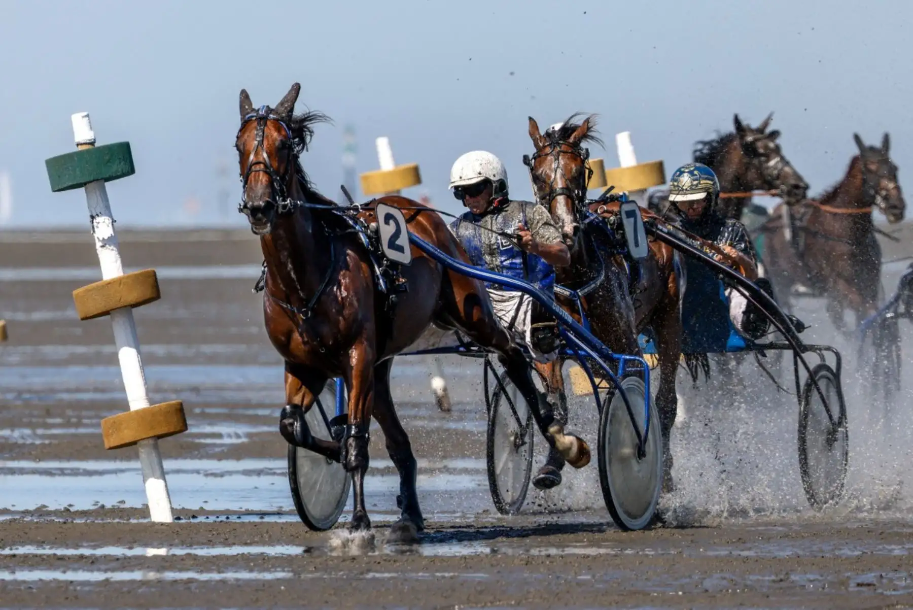 Los jinetes de trote Bernd Schroedl (izq.) con Lamkelze De Niel TF y Jochen Holzschuh con Di Ospeo compiten durante la 90.ª edición de la carrera de caballos Duhner Wattrennen en las marismas del estuario del Elba durante la bajamar en Cuxhaven-Duhnen, Alemania, el 9 de agosto de 2026. La 90.ª edición de la Duhner Wattrennen en el Mar de Frisia, en las marismas del río Elba, es una carrera de caballos que se celebra en el lecho marino durante la bajamar. Foto: AFP