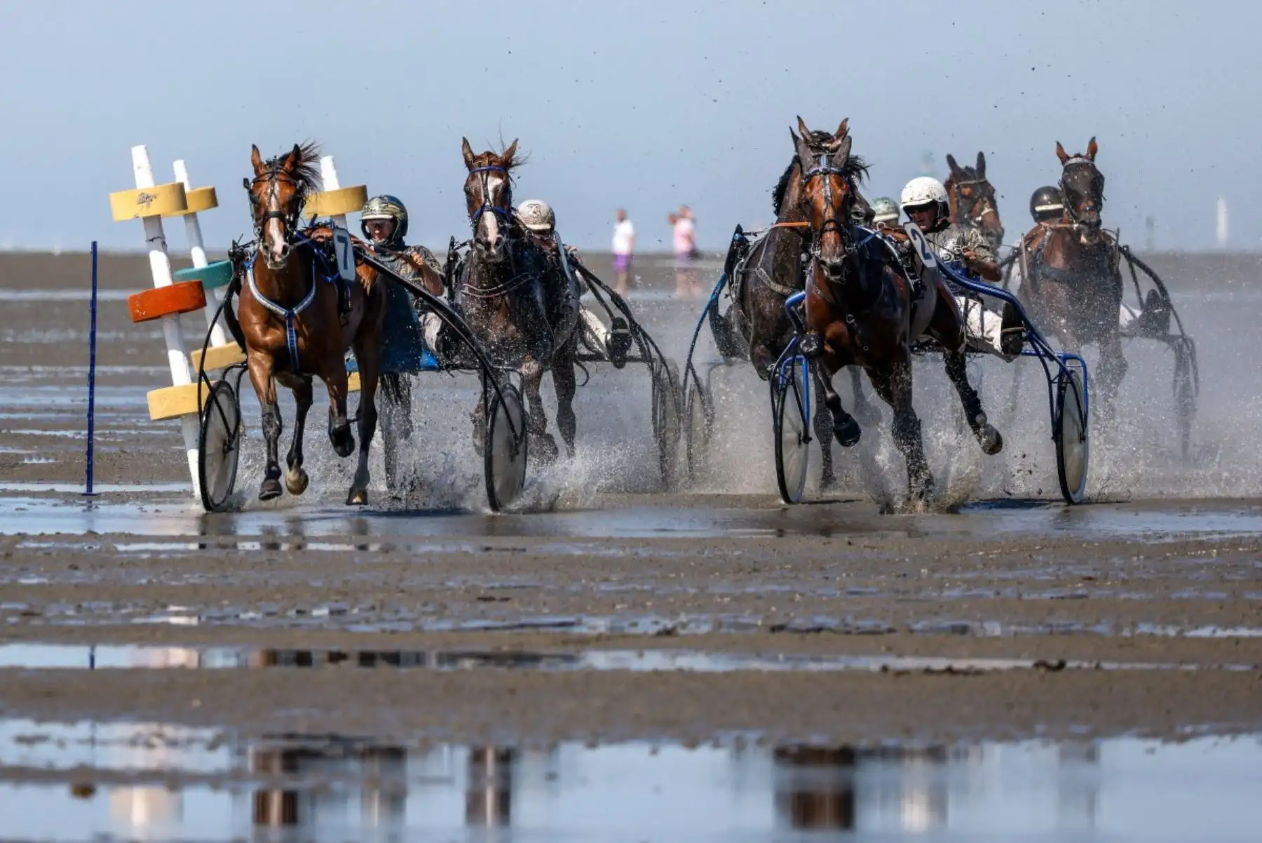 Los jinetes de trote compiten durante la 90.ª edición de la carrera de caballos Duhner Wattrennen en las marismas del estuario del Elba durante la marea baja en Cuxhaven-Duhnen, Alemania, el 9 de agosto de 2026. La 90.ª edición de la Duhner Wattrennen en el Mar de Frisia, en las marismas del río Elba, es una carrera de caballos que se celebra en el lecho marino durante la marea baja. Foto: AFP