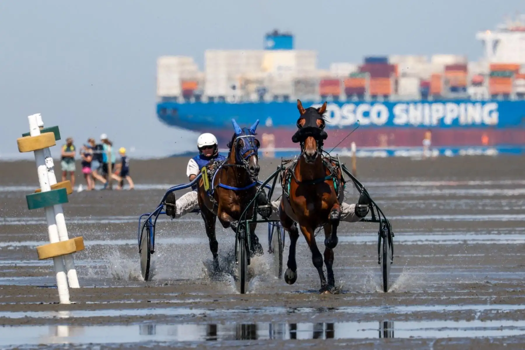 Los caballos de trote calientan antes de la carrera frente al buque portacontenedores Cosca Shipping Seine durante la 90.ª edición de la carrera de caballos Duhner Wattrennen en las marismas del estuario del Elba durante la marea baja en Cuxhaven-Duhnen, Alemania, el 9 de agosto de 2026. Foto: AFP