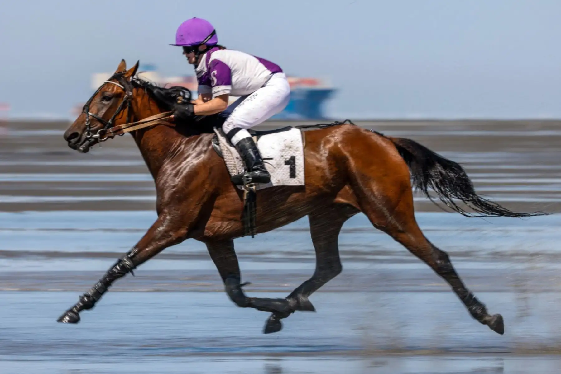 La amazona Laura Skoruppa, del caballo California, compite en la 90.ª edición de la carrera de caballos Duhner Wattrennen, que se celebra en las marismas del estuario del Elba durante la marea baja en Cuxhaven-Duhnen, Alemania, el 9 de agosto de 2026. La 90.ª edición de la Duhner Wattrennen, que tiene lugar en el mar de Frisia, en las marismas del río Elba, es una carrera de caballos que se celebra en el lecho marino durante la marea baja. Foto: AFP