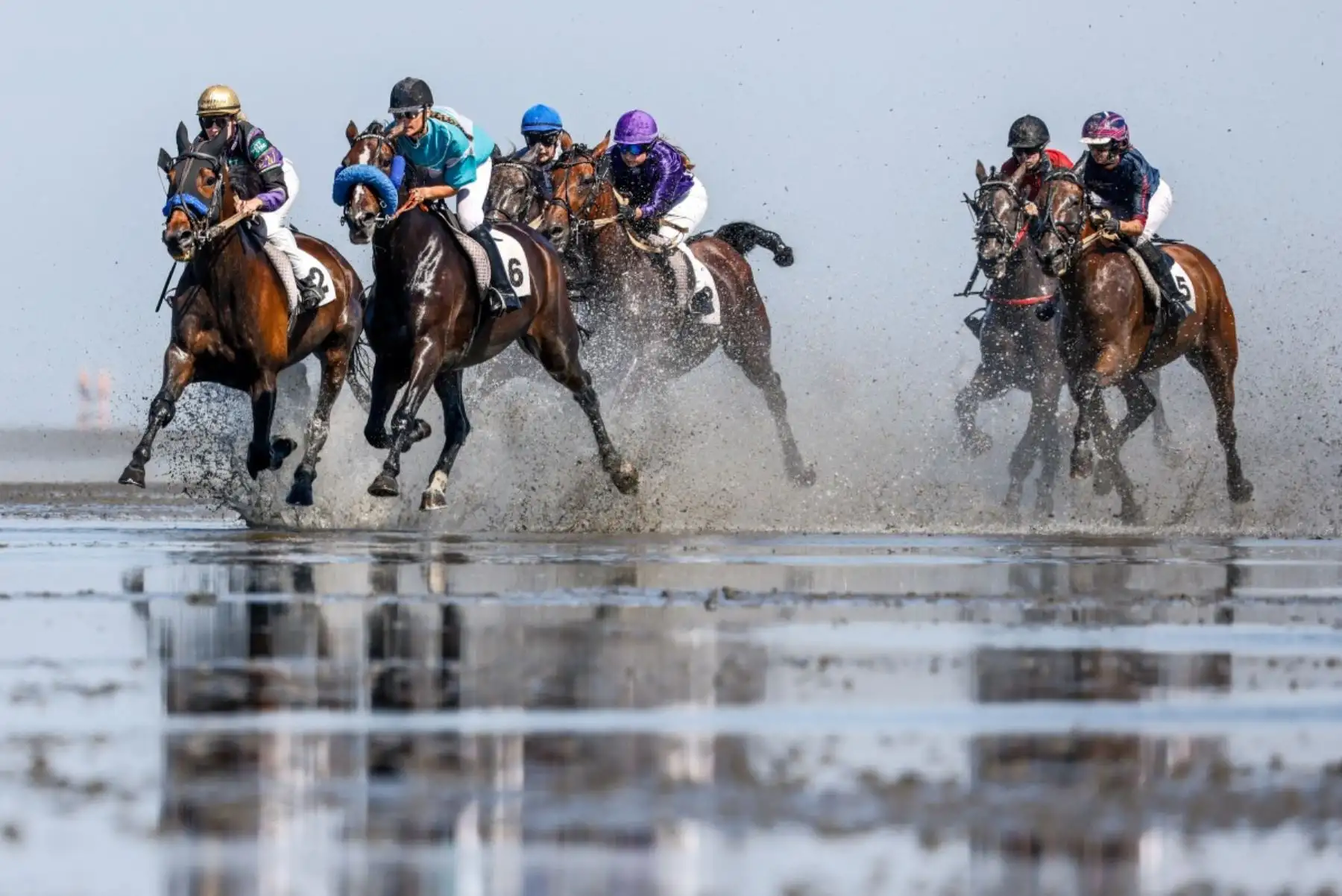 Jinetes de trote compiten durante la 90.ª edición de la carrera de caballos Duhner Wattrennen en las marismas del estuario del Elba durante la marea baja en Cuxhaven-Duhnen, Alemania, el 9 de agosto de 2026. La 90.ª edición de la Duhner Wattrennen en el Mar de Frisia, en las marismas del río Elba, es una carrera de caballos que se celebra en el lecho marino durante la marea baja. Foto: AFP