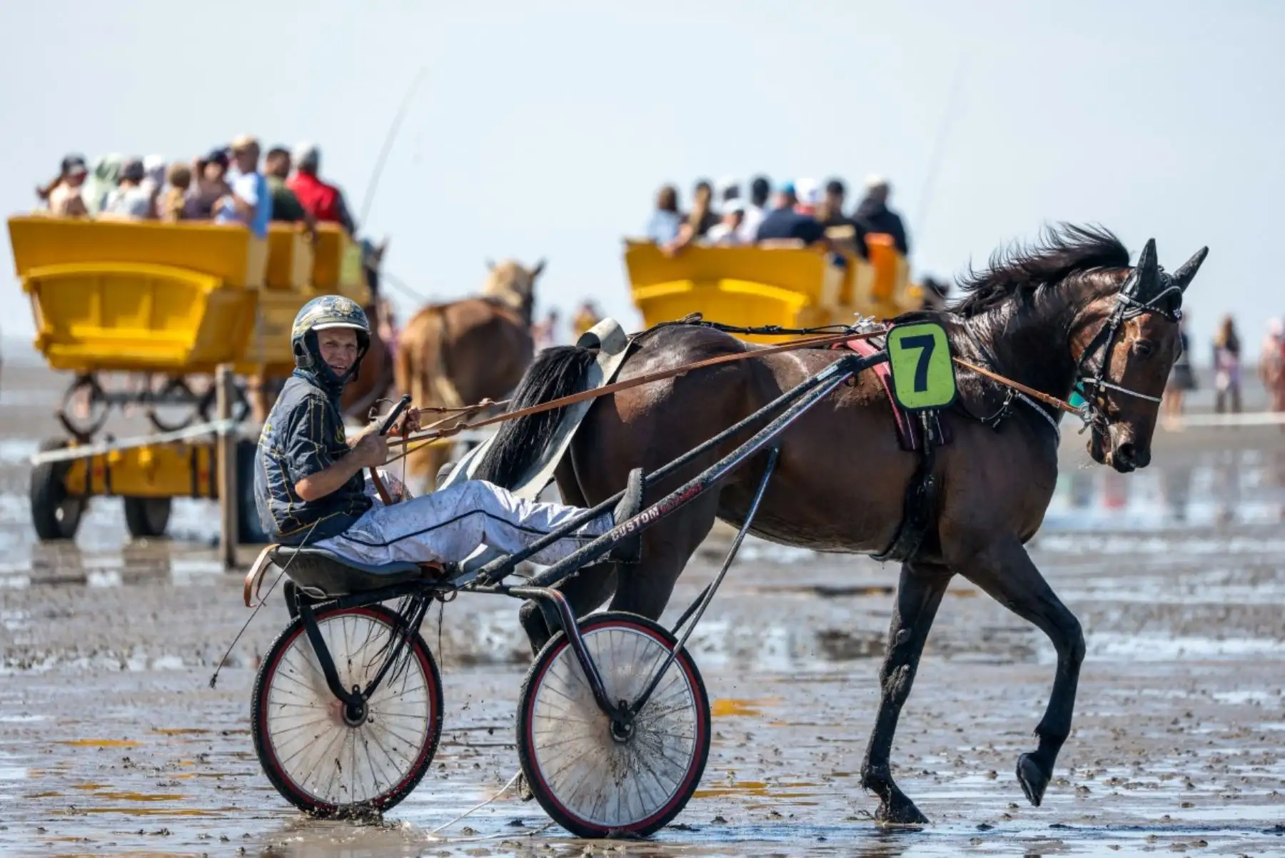Jochen Holzschuh, junto a Cracker Jack, reacciona tras la primera carrera de trote durante la 90.ª edición de la carrera de caballos Duhner Wattrennen, que tuvo lugar en las marismas del estuario del Elba durante la marea baja en Cuxhaven-Duhnen, Alemania, el 9 de agosto de 2026. La 90.ª edición de la Duhner Wattrennen, que se celebra en el mar de Frisia, en las marismas del río Elba, es una carrera de caballos que tiene lugar en el lecho marino durante la marea baja. Foto: AFP