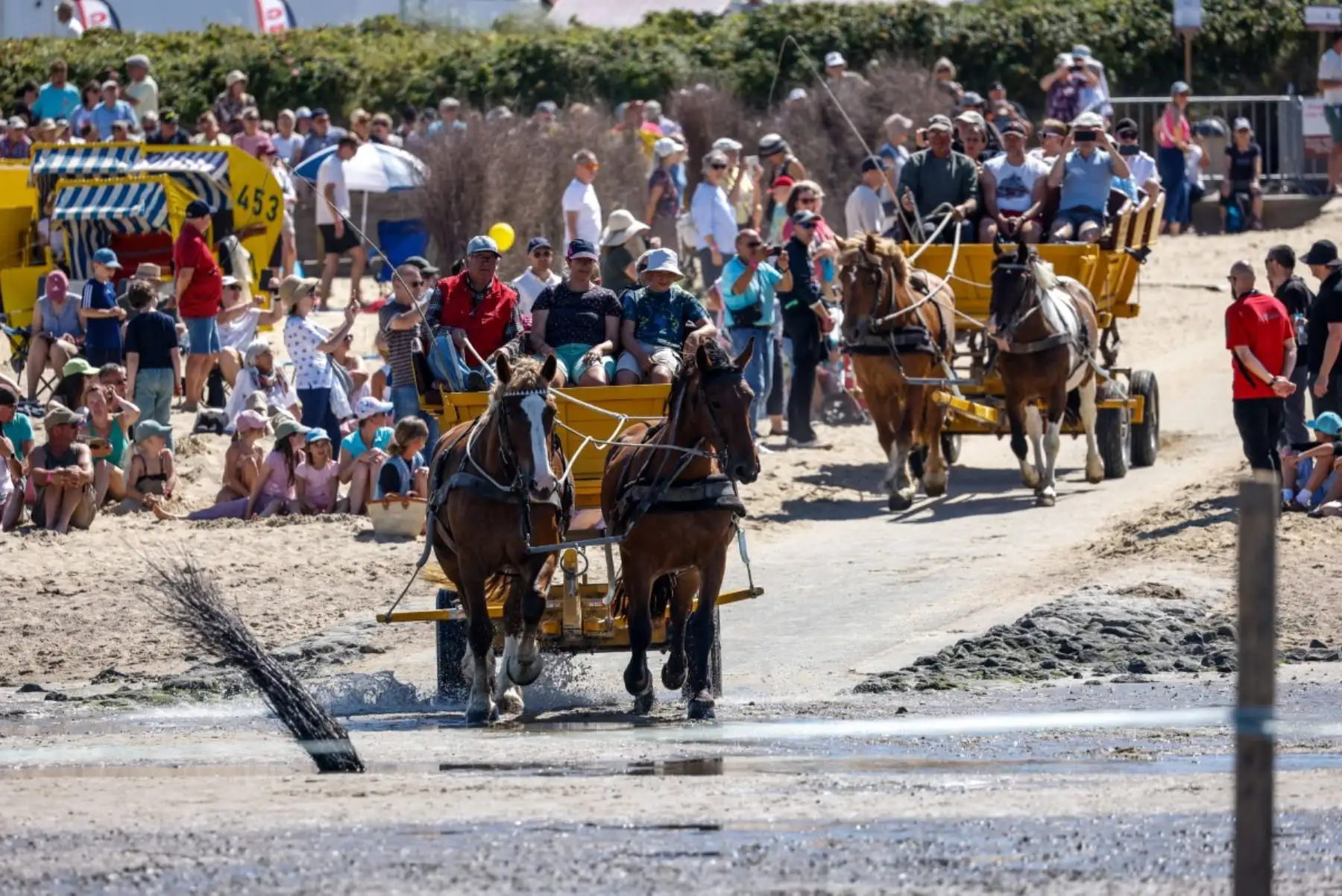 Autocares que se dirigen al Mar de Frisia hacia la isla de Neuwerk parten de la playa durante la 90.ª edición de la carrera de caballos Duhner Wattrennen en las marismas del estuario del Elba durante la marea baja en Cuxhaven-Duhnen, Alemania, el 9 de agosto de 2026. La 90.ª edición de la Duhner Wattrennen en el Mar de Frisia, en las marismas del río Elba, es una carrera de caballos que se celebra en el lecho marino durante la marea baja. Foto: AFP