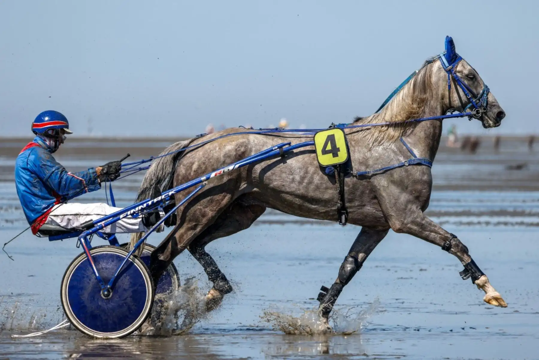 Joachim Hay y Fabia Gallent aparecen tras la primera carrera de trote durante la 90.ª edición de la carrera de caballos Duhner Wattrennen, que tuvo lugar en las marismas del estuario del Elba durante la bajamar en Cuxhaven-Duhnen, Alemania, el 9 de agosto de 2026. La 90.ª edición de la Duhner Wattrennen, que se celebra en el mar de Frisia, en las marismas del río Elba, es una carrera de caballos que tiene lugar en el lecho marino durante la bajamar. Foto: AFP