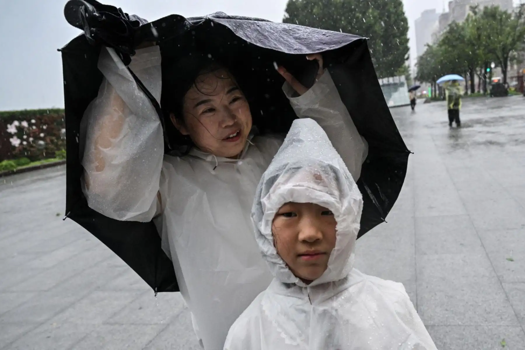 La gente visita el Bund bajo una fuerte lluvia, un día después de que el tifón Dolphin tocara tierra en Shanghái. Foto: AFP