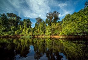 El ministro Vladimiro Huaroc reafirmó ante la Comisión de Medio Ambiente y Sostenibilidad de la Cámara de Diputados, el compromiso del Minam con el desarrollo sostenible y la protección del patrimonio natural.ANDINA/Difusión
