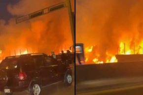 Incendio de gran magnitud se registra en vivero municipal de Los Olivos. Foto: Twitter