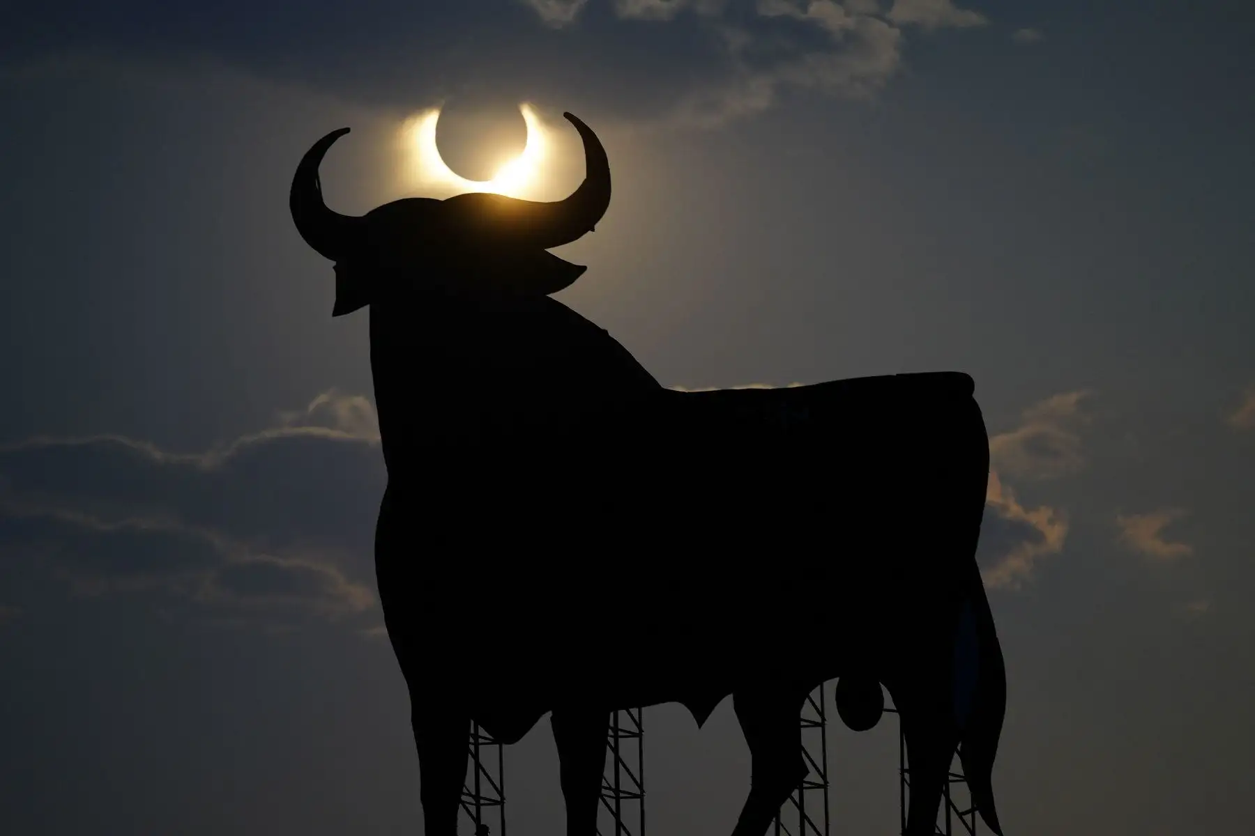 Eclipse de Sol junto a un toro de Osborne este miércoles en la localidad de Pradorrey. Foto: EFE