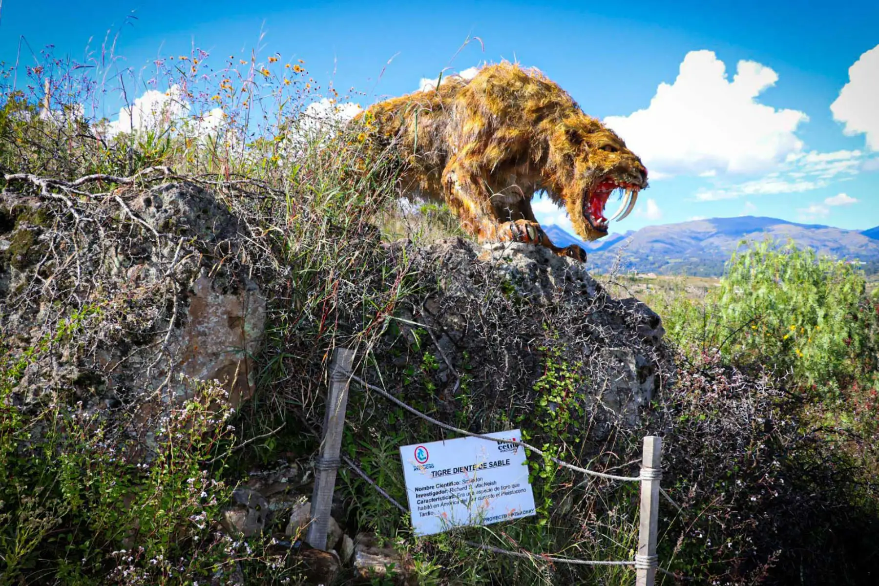 Nueva temporada de excavaciones arqueológicas busca aportar evidencias sobre la antigüedad y el uso de Pikimachay, en Ayacucho. Foto: José Ochatoma.