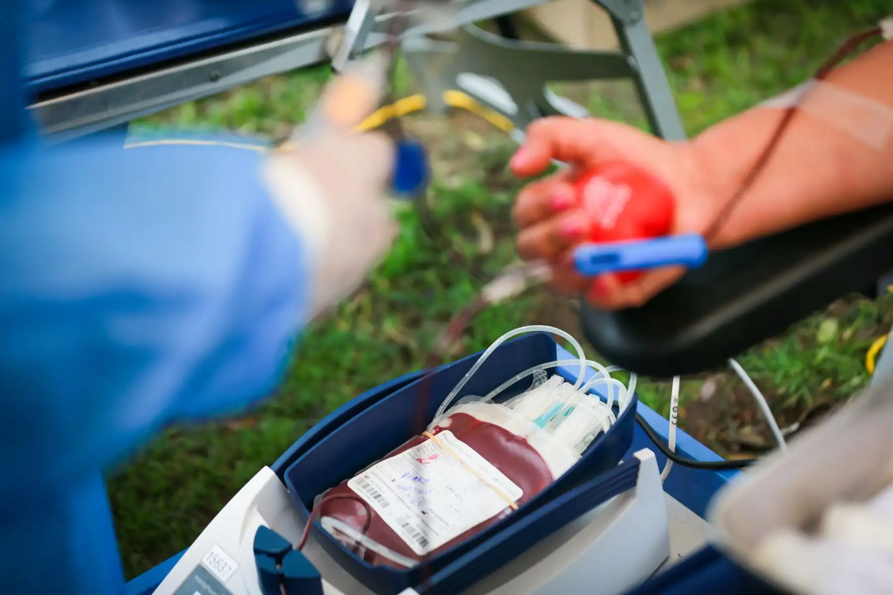 Solo se llega a 1.37 % de personas en el país que donan sangre y que solo el 20 % de ellos lo haga de forma voluntaria. La donación salva vidas, necesitamos que donen”. Foto: ANDINA/ Ricardo Cuba