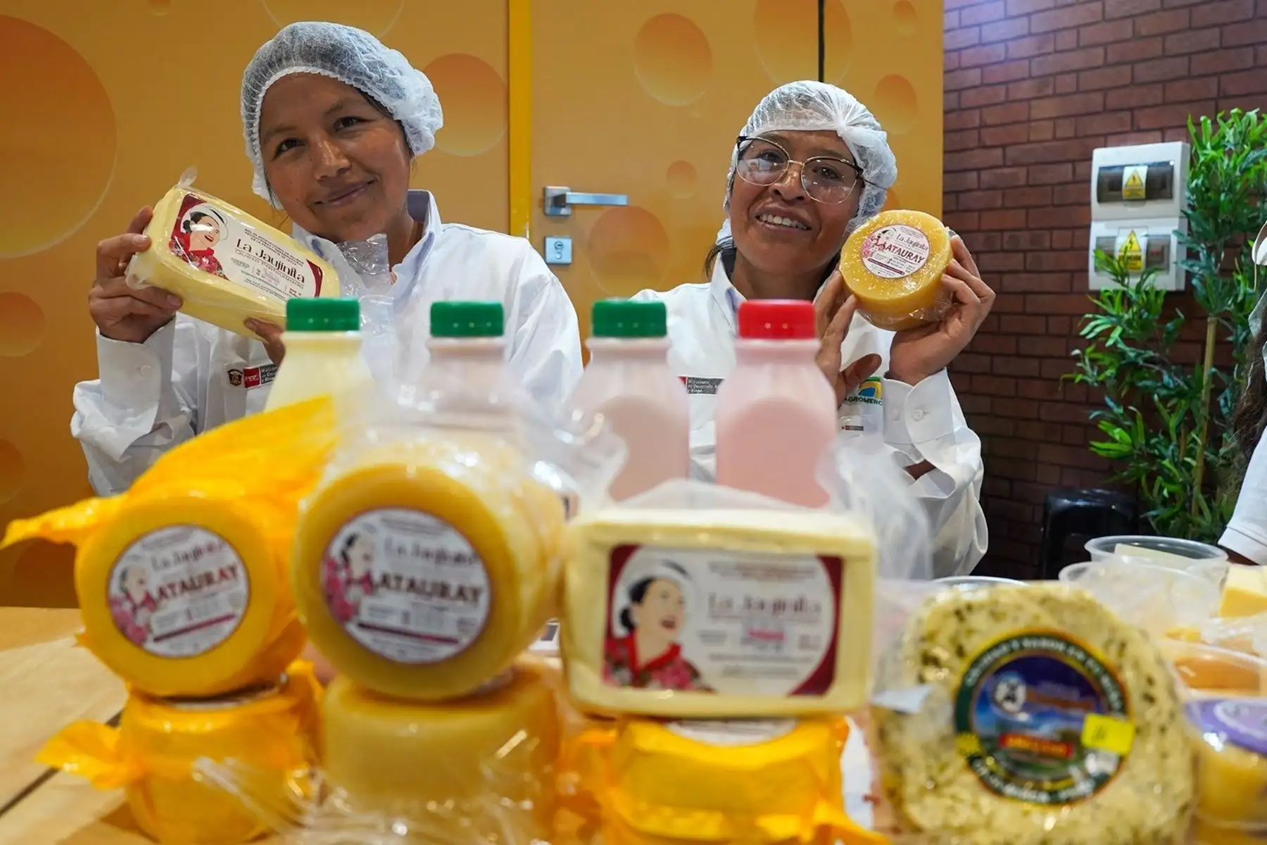 Más de 2,000 productores de leche fortalecen su producción y transformación en 5 regiones