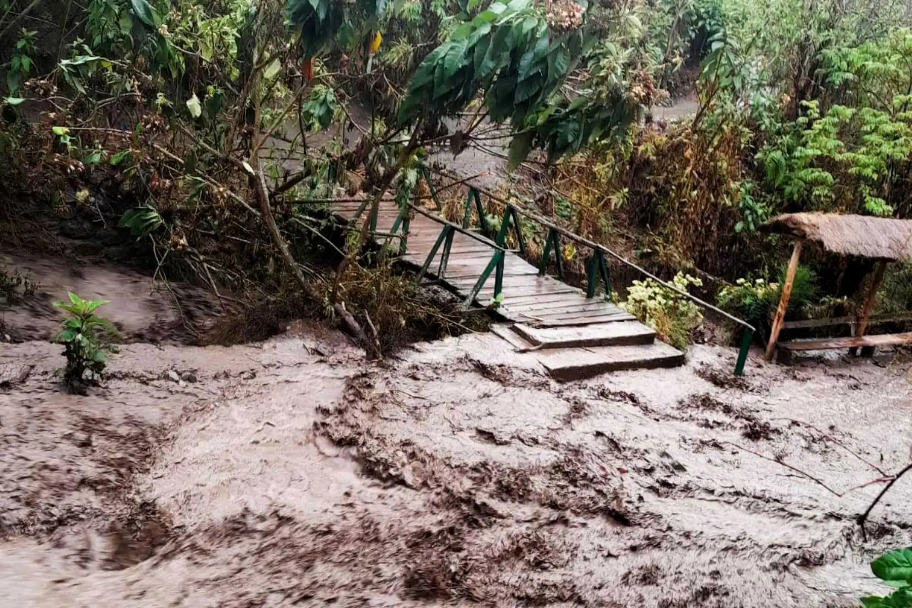 La crecida del riachuelo Llulluchapampa afectó un puente de madera y obligó a restringir preventivamente el tránsito peatonal hacia Machu Picchu.
Foto: ANDINA/Difusión