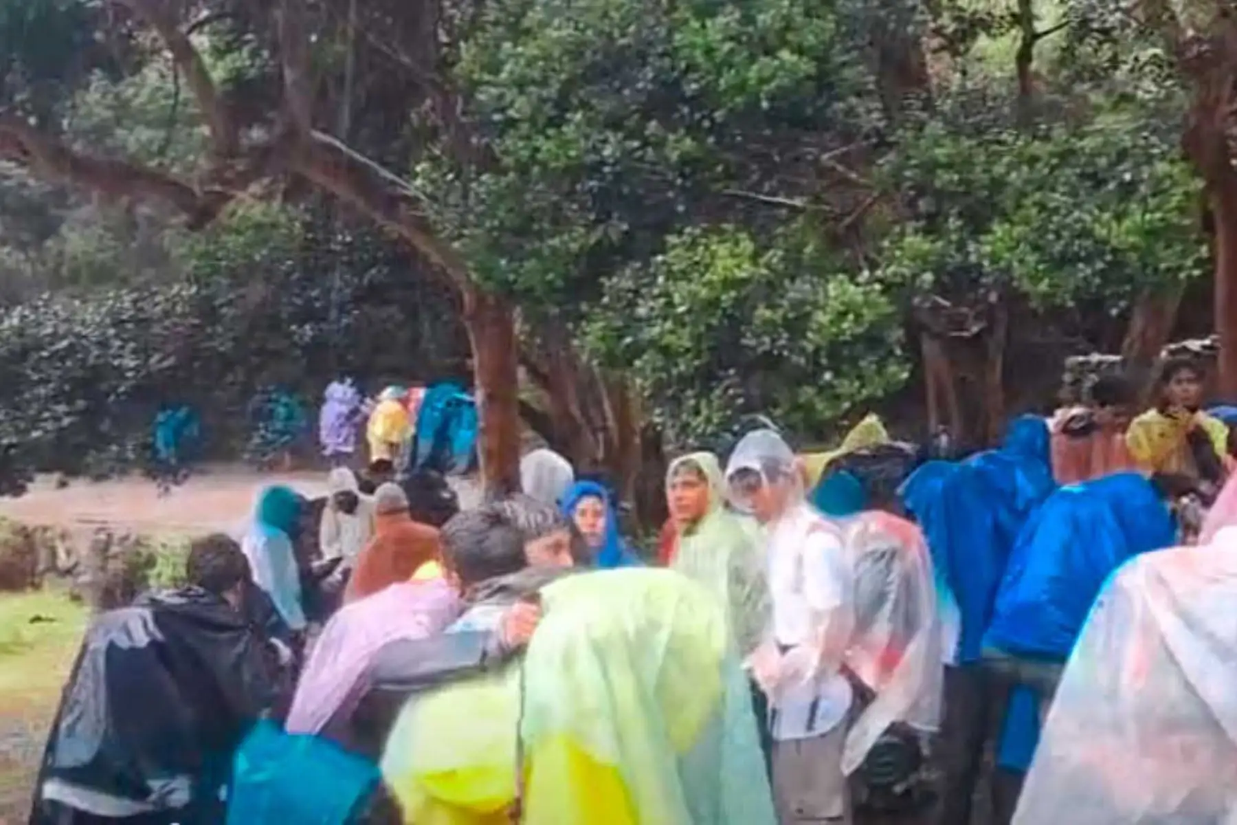 Turistas fueron retenidos preventivamente debido a las intensas lluvias y al incremento del caudal en el Camino Inca hacia la ciudadela. Foto: ANDINA/ Difusión