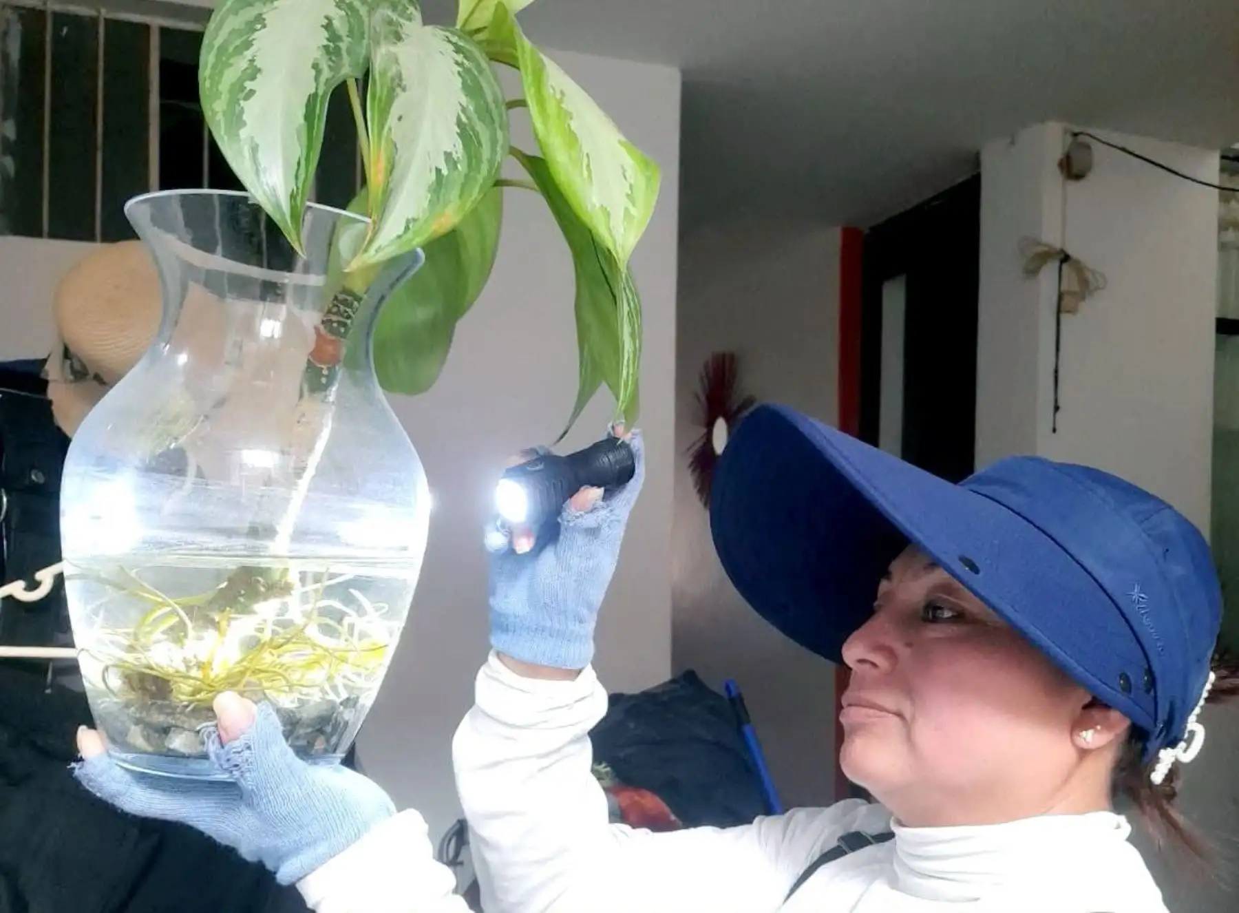 Lambayeque: autoridades de salud reportan brote de dengue en seis distritos de la región
