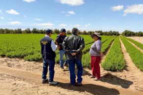 Toda esta labor de campo se desarrolla en conjunto con el personal de Riesgos y Desastres del distrito, cruzando información in situ con la Subgerencia de Desarrollo Económico de la municipalidad local.
