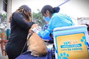 Vacunación antirrábica gratuita para perros se realizará este 22 y 23 de agosto. Foto: ANDINA/Difusión