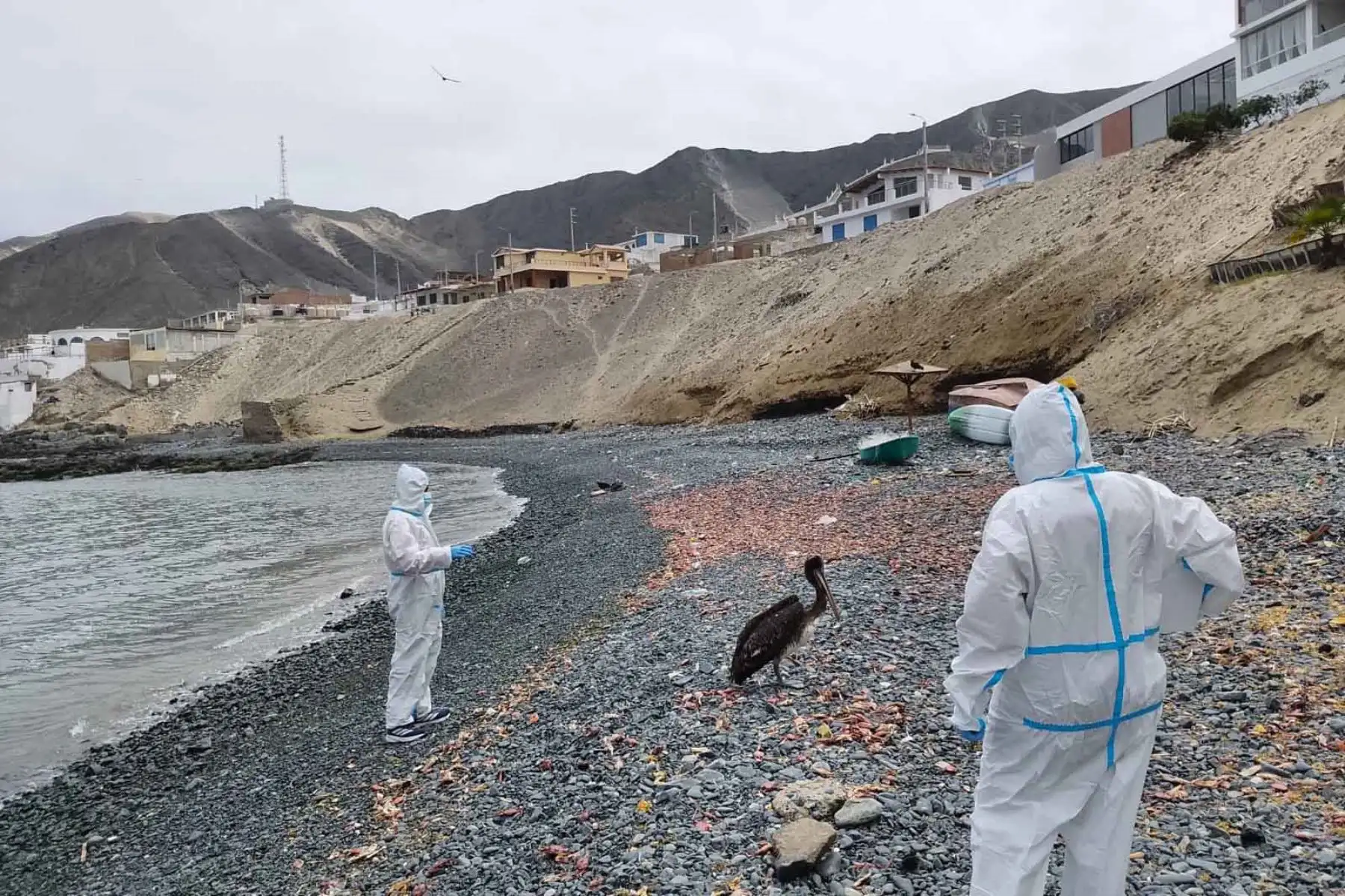 Chimbote: instalan mesa técnica de emergencia para afrontar a El Niño en Bahía del Ferrol
