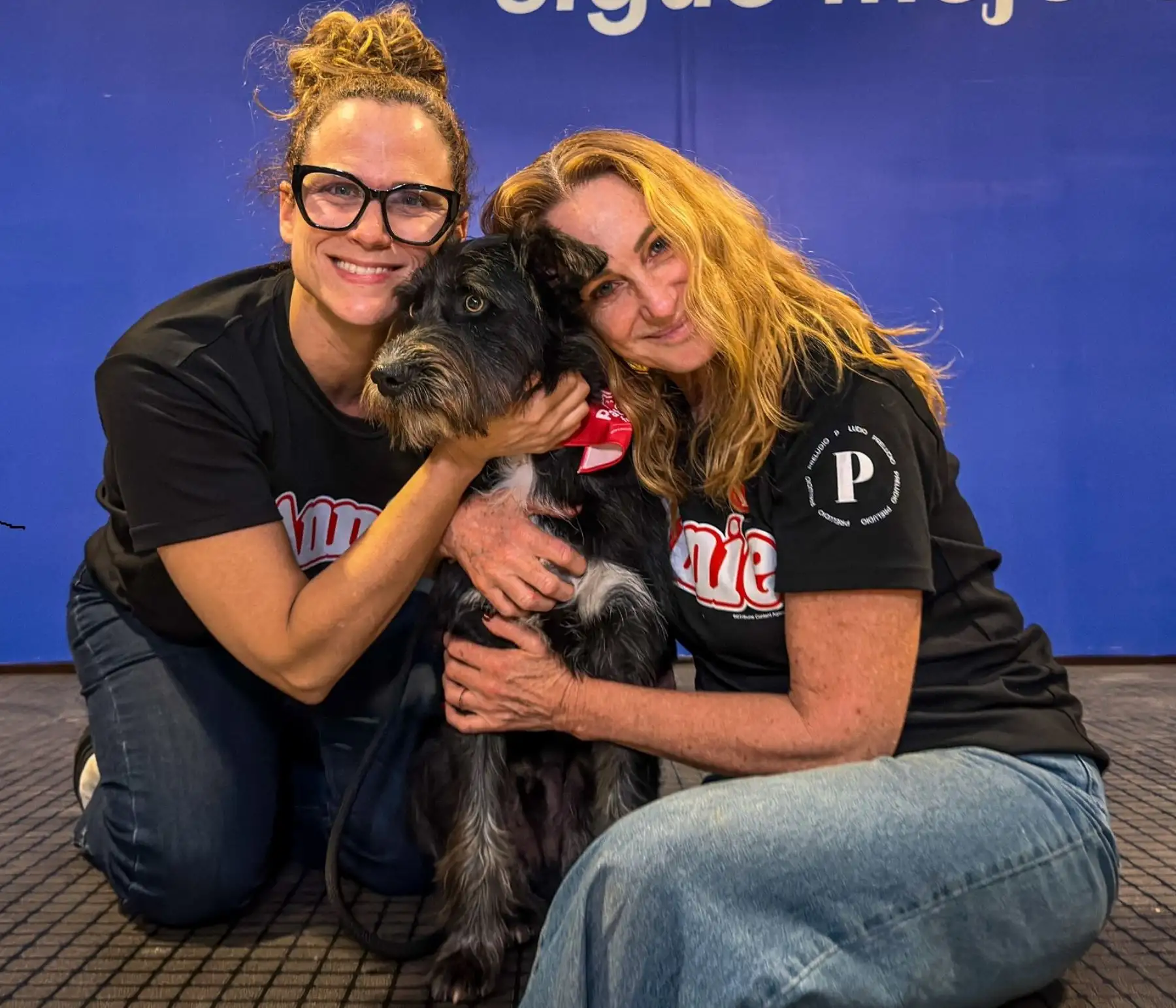 Barrabás, perrito del Albergue Municipal de Surco, pasó casting para actuar en "Annie"
