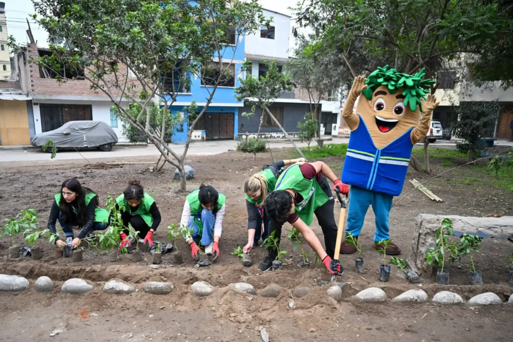 Programa Lima Verde de Serpar alcanzará un millón de árboles plantados en nuestra capital