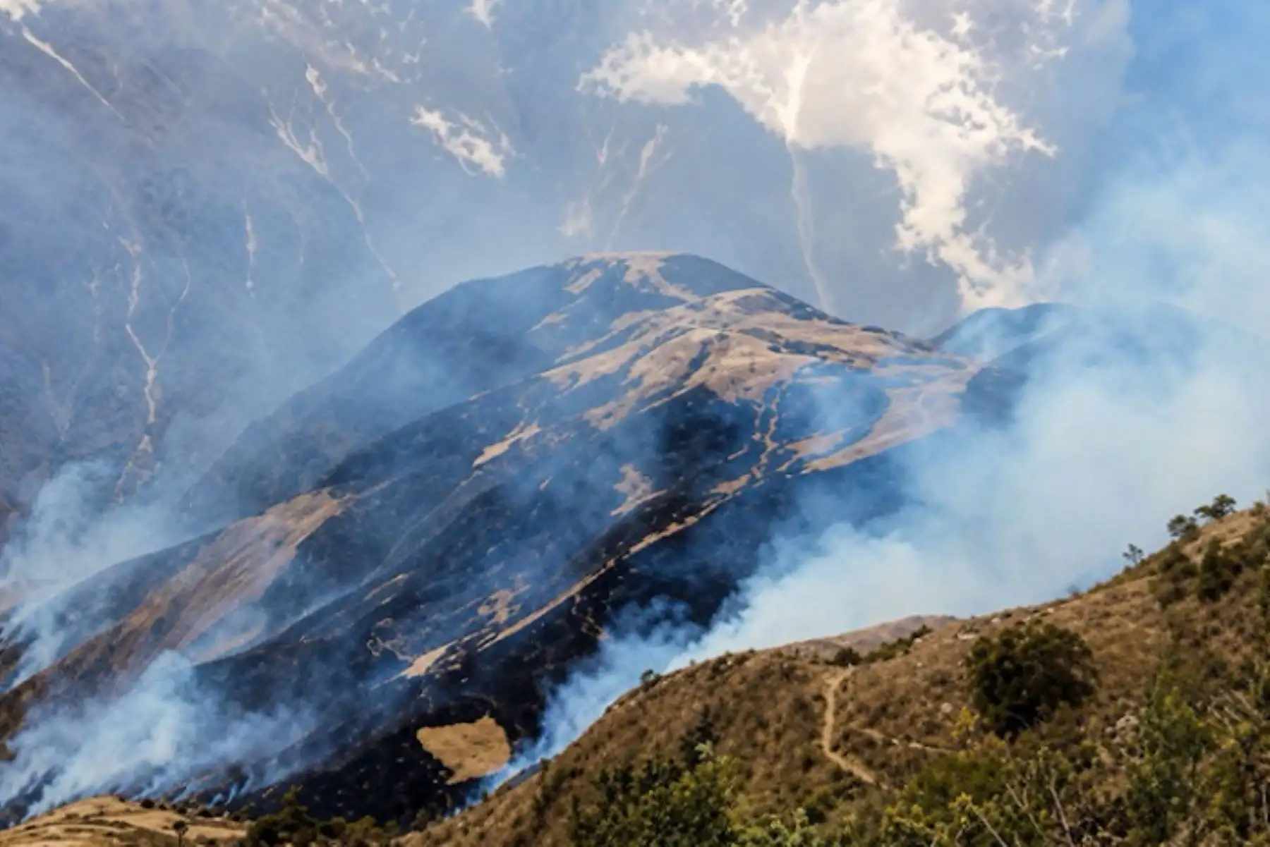 La Libertad: incendio forestal consume 32 hectáreas de cultivos y vegetación en Sitabamba