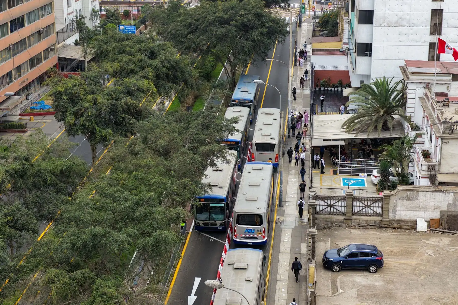 En la avenida Arequipa, la operación del carril exclusivo permite reforzar la prioridad del transporte público y facilitar la circulación del Corredor Azul. Foto: ANDINA/Ricardo Cuba.