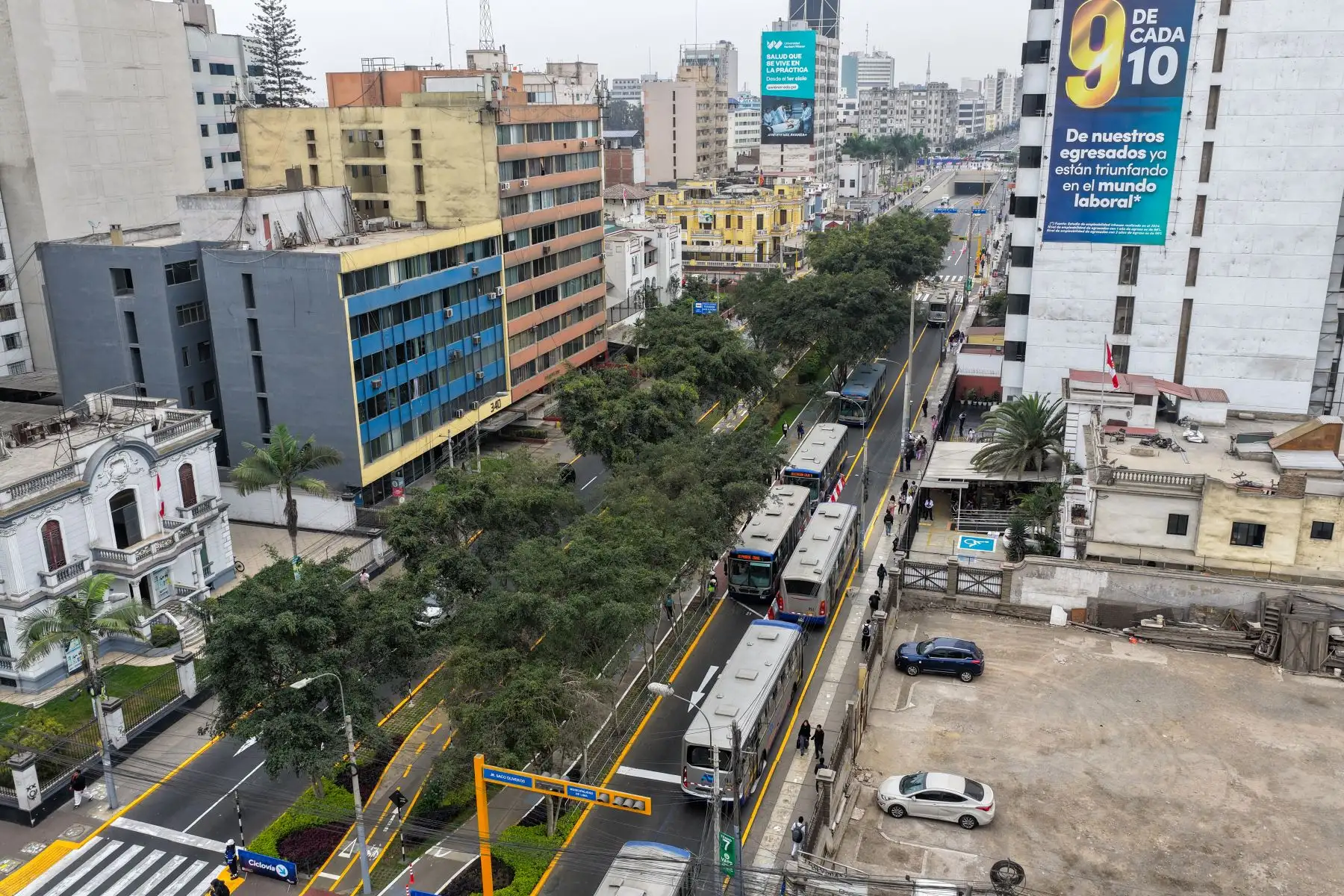 Esta distribución busca reducir interferencias con otros vehículos y contribuir a un tránsito más ordenado en uno de los ejes principales de Lima. Foto: ANDINA/Ricardo Cuba.