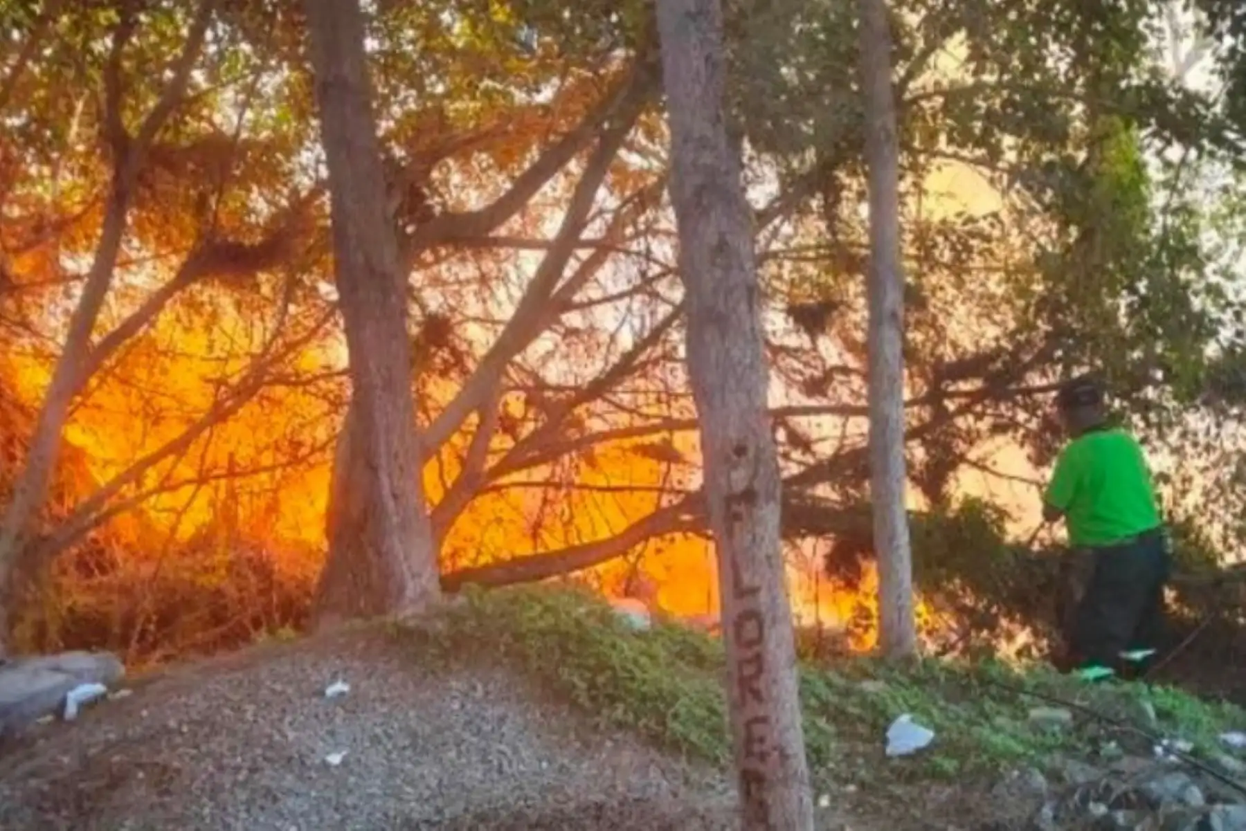 El 98 % de los incendios forestales en el Perú son causados por el hombre
