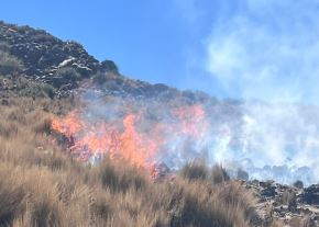 Un incendio forestal se registra en el interior de la Reserva Nacional Pampa Galeras - Bárbara d