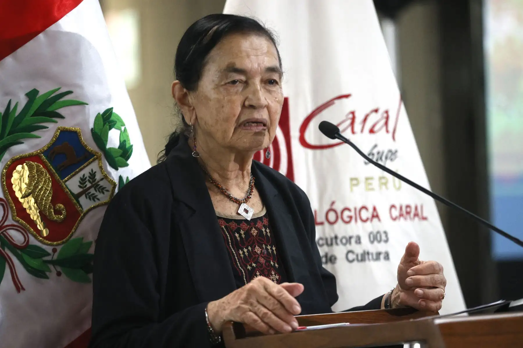 Durante la actividad se difundieron evidencias que permiten comprender cómo las poblaciones de Caral enfrentaron variaciones ambientales y adaptaron su forma de vida. Foto: ANDINA/Vidal Tarqui.
