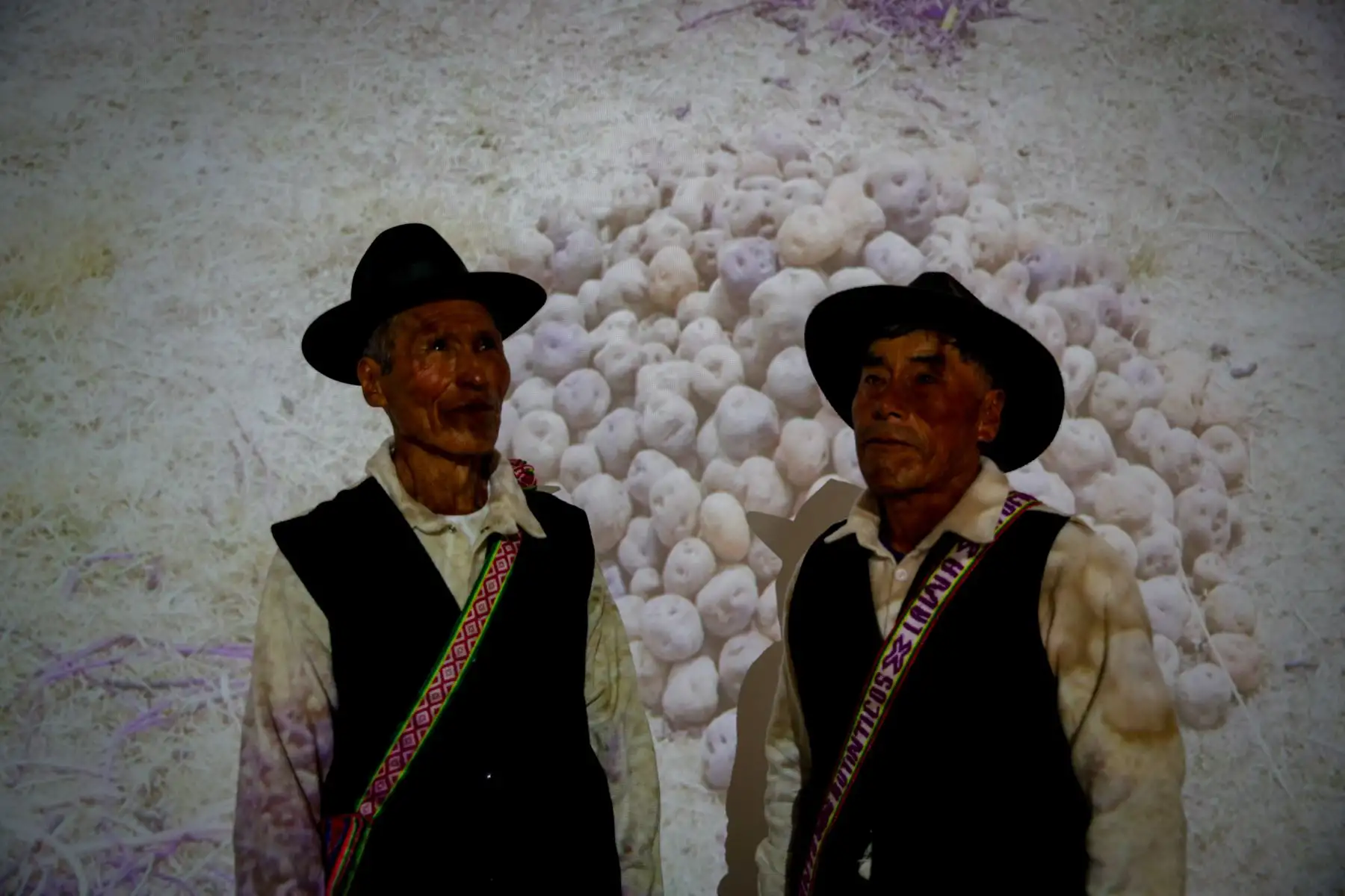 Representantes de comunidades aimaras de Acora, en Puno, comparten productos y tradiciones vinculadas a la preservación de los Waru Waru. Foto: ANDINA/Ricardo Cuba.