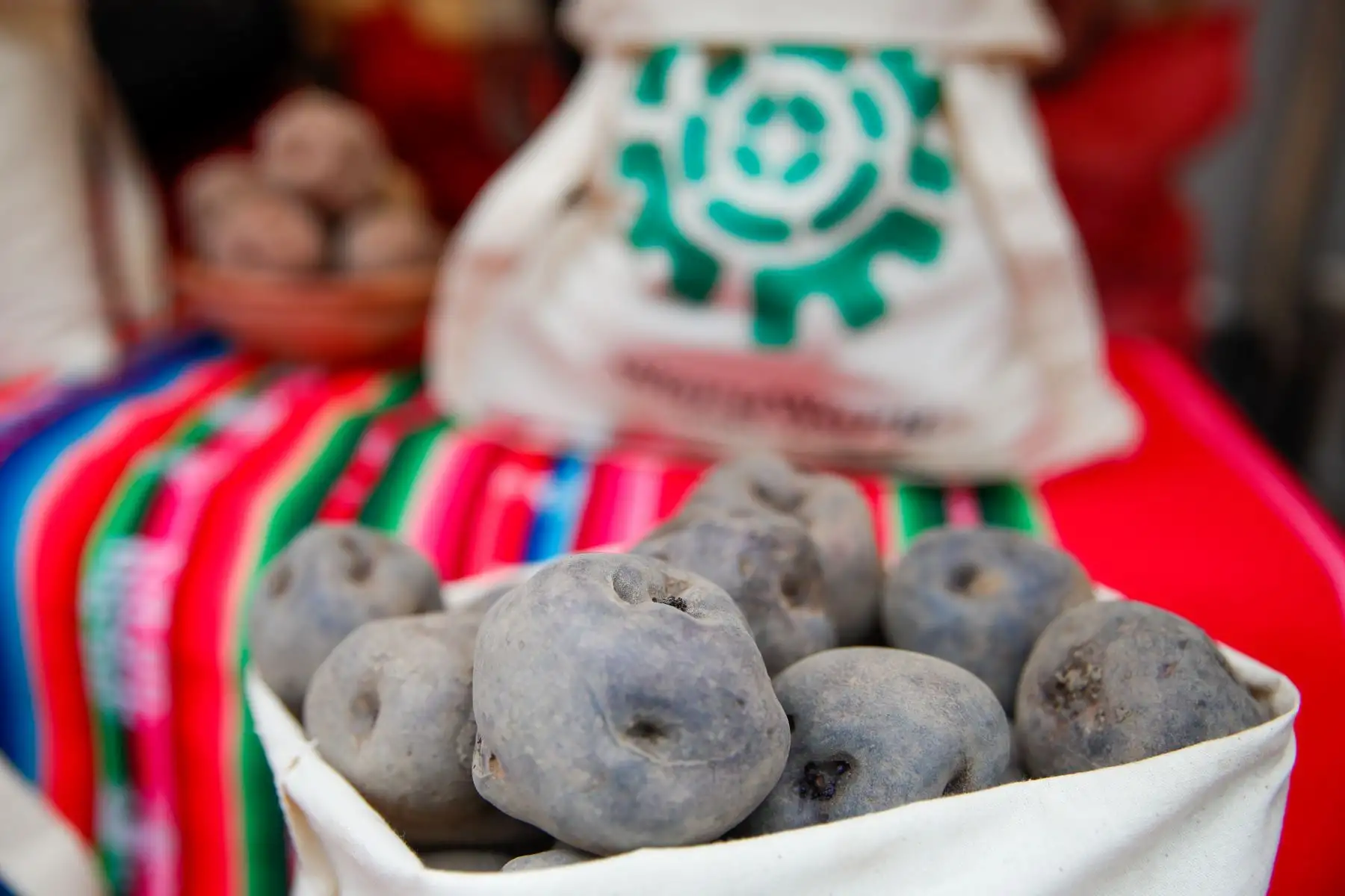 La muestra permite acercar al público a la diversidad de papas nativas del altiplano y a los saberes de quienes mantienen vivo este sistema agrícola. Foto: ANDINA/Ricardo Cuba.