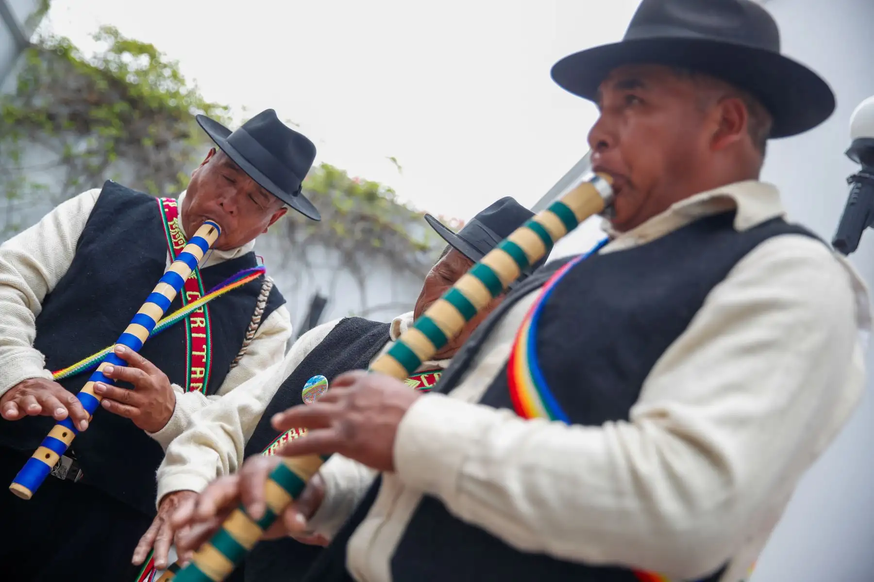 La experiencia integra patrimonio vivo, gastronomía y cultura para mostrar la vigencia de los Waru Waru frente al cambio climático. Foto: ANDINA/Ricardo Cuba.