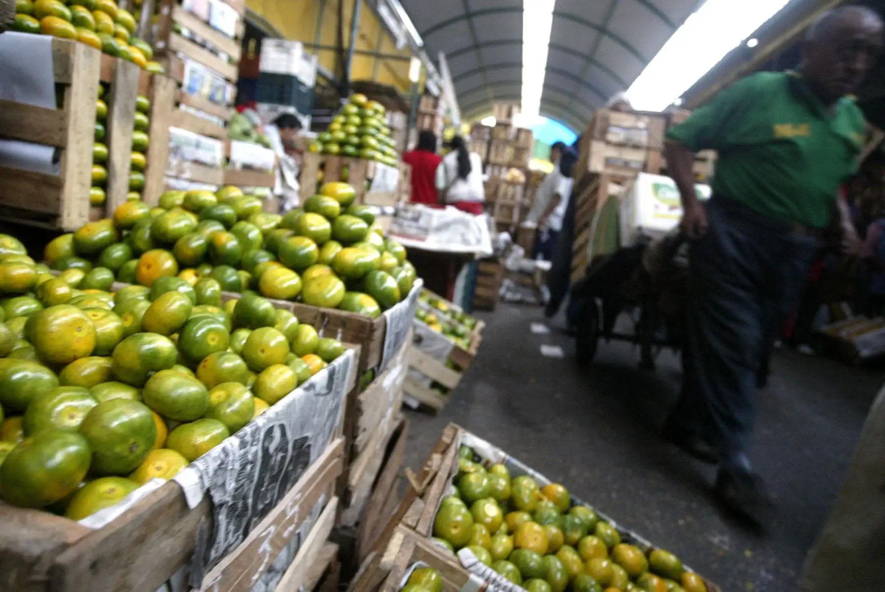 Aumenta ingreso de alimentos a mercados mayoristas y precios de productos están estables