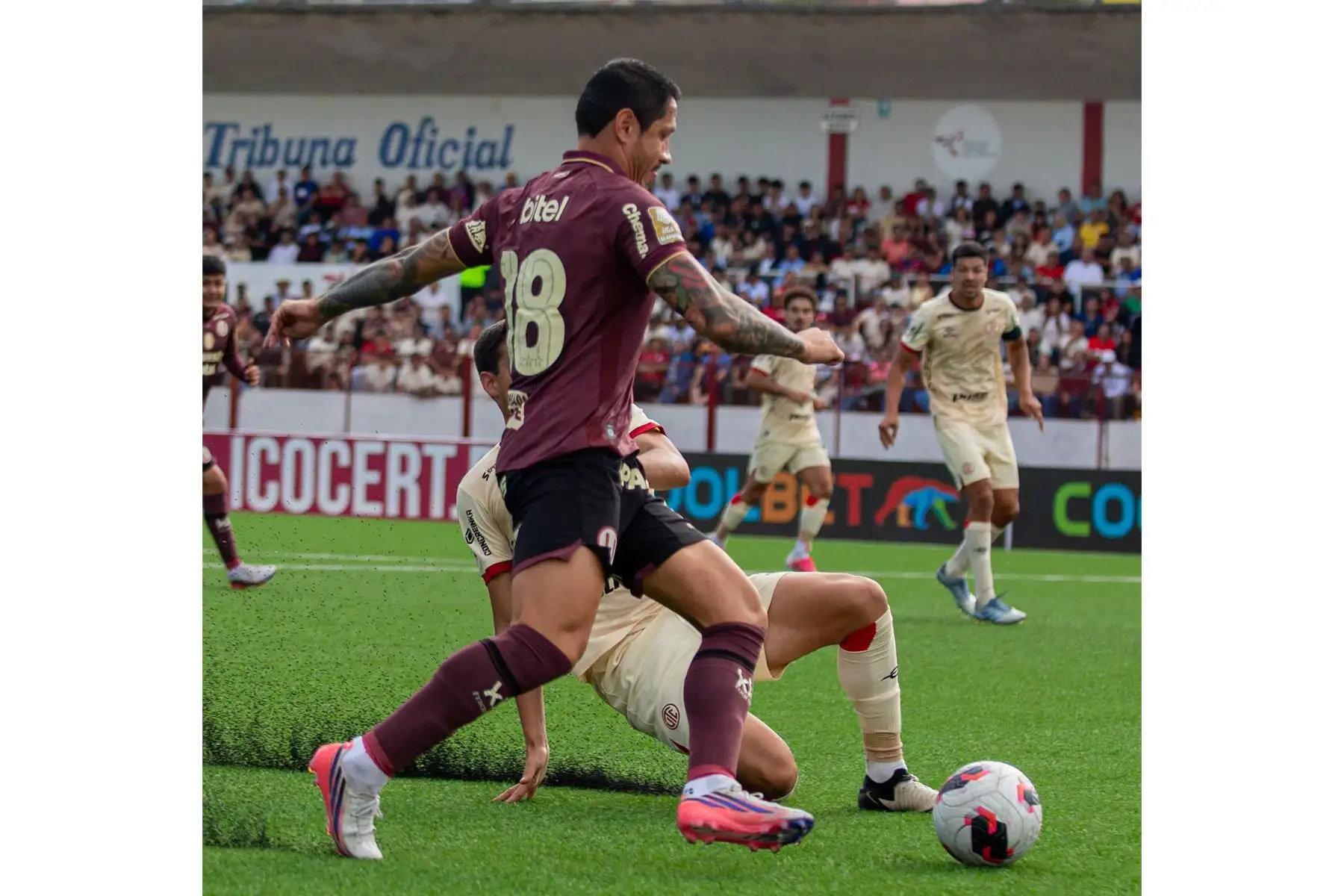 Universitario de Deportes vence por 4-2 a UTC, con goles de Jairo Concha en el primer tiempo, y Williams Rivero, Álex Valera y Andy Polo en el segundo tiempo, el sábado 29 de agosto en el estadio Héroes de San Ramón de Cajamarca por la fecha 7 del Torneo Clausura 2026. Foto: Liga 1