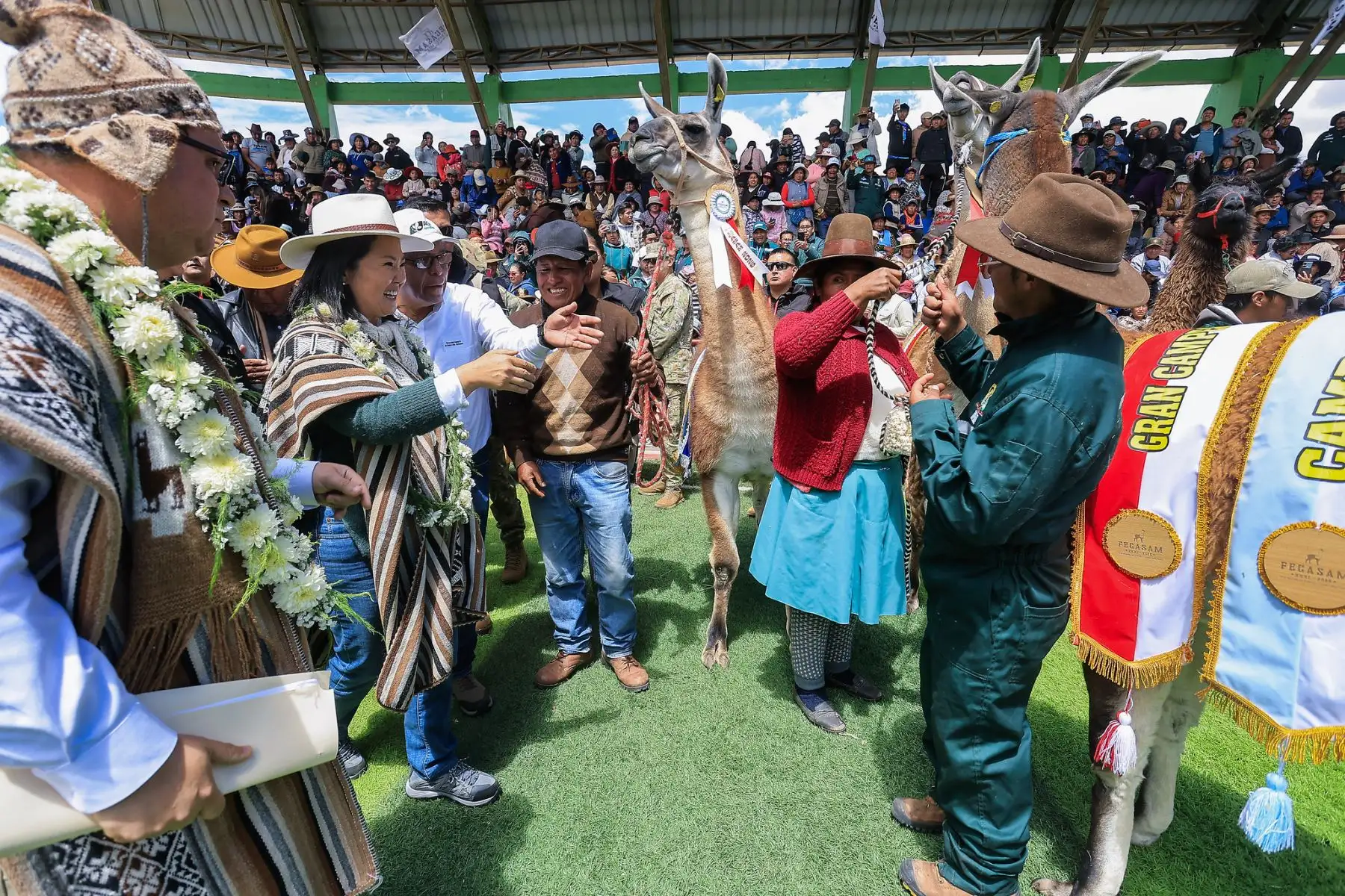 Presidenta Keiko Fujimori participa en entrega de títulos de propiedad, insumos y maquinaria para productores de Puno. Foto: ANDINA/Prensa Presidencia