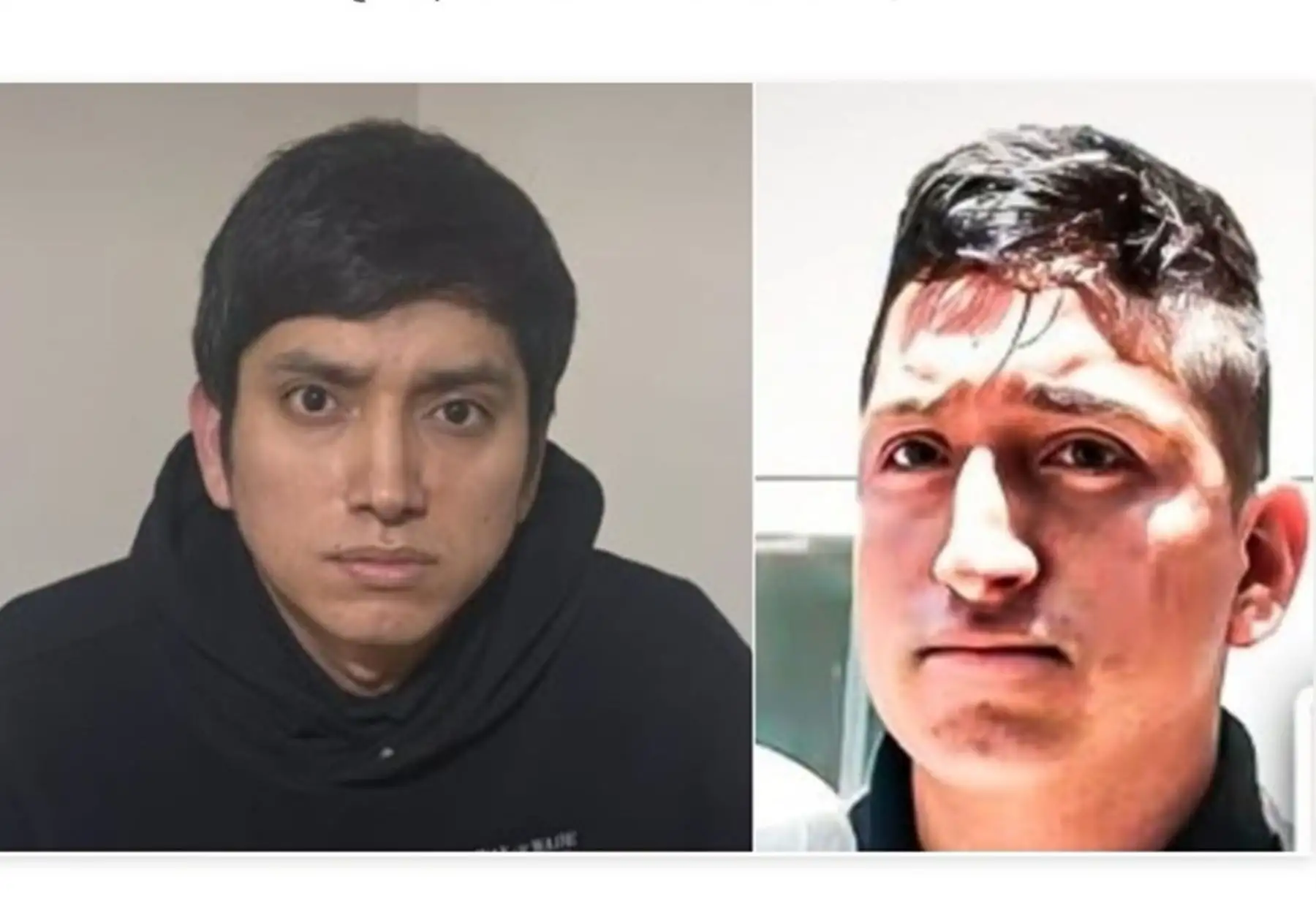 ANDINA/Difusión