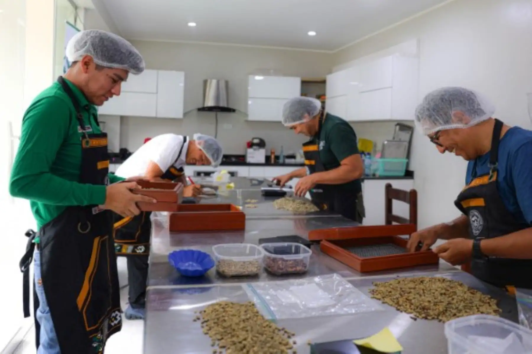 Economía lícita y sostenible: Devida identifica cafés con alto potencial comercial