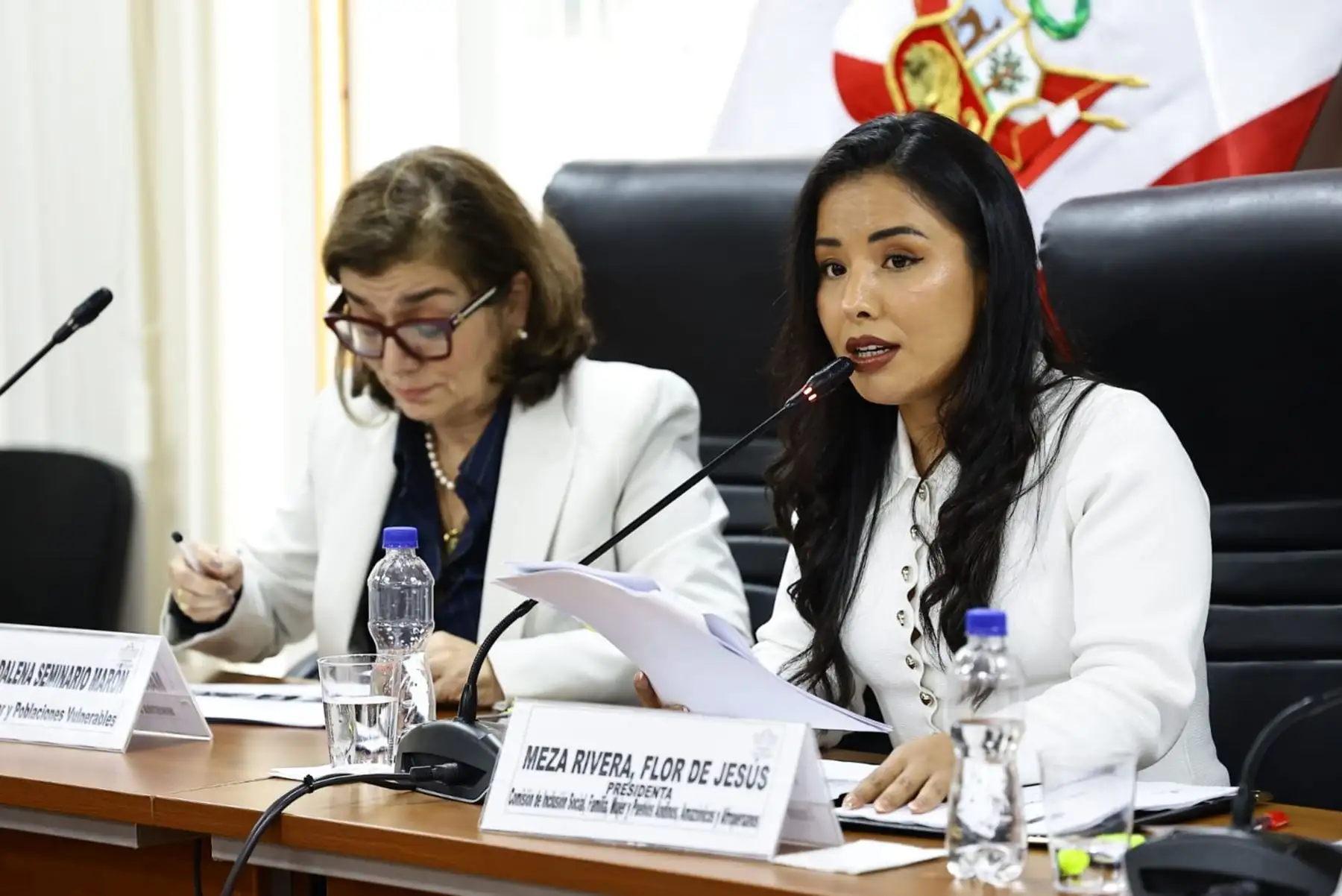 Diputados: Comisión de Inclusión Social crea cuatro grupos de trabajo