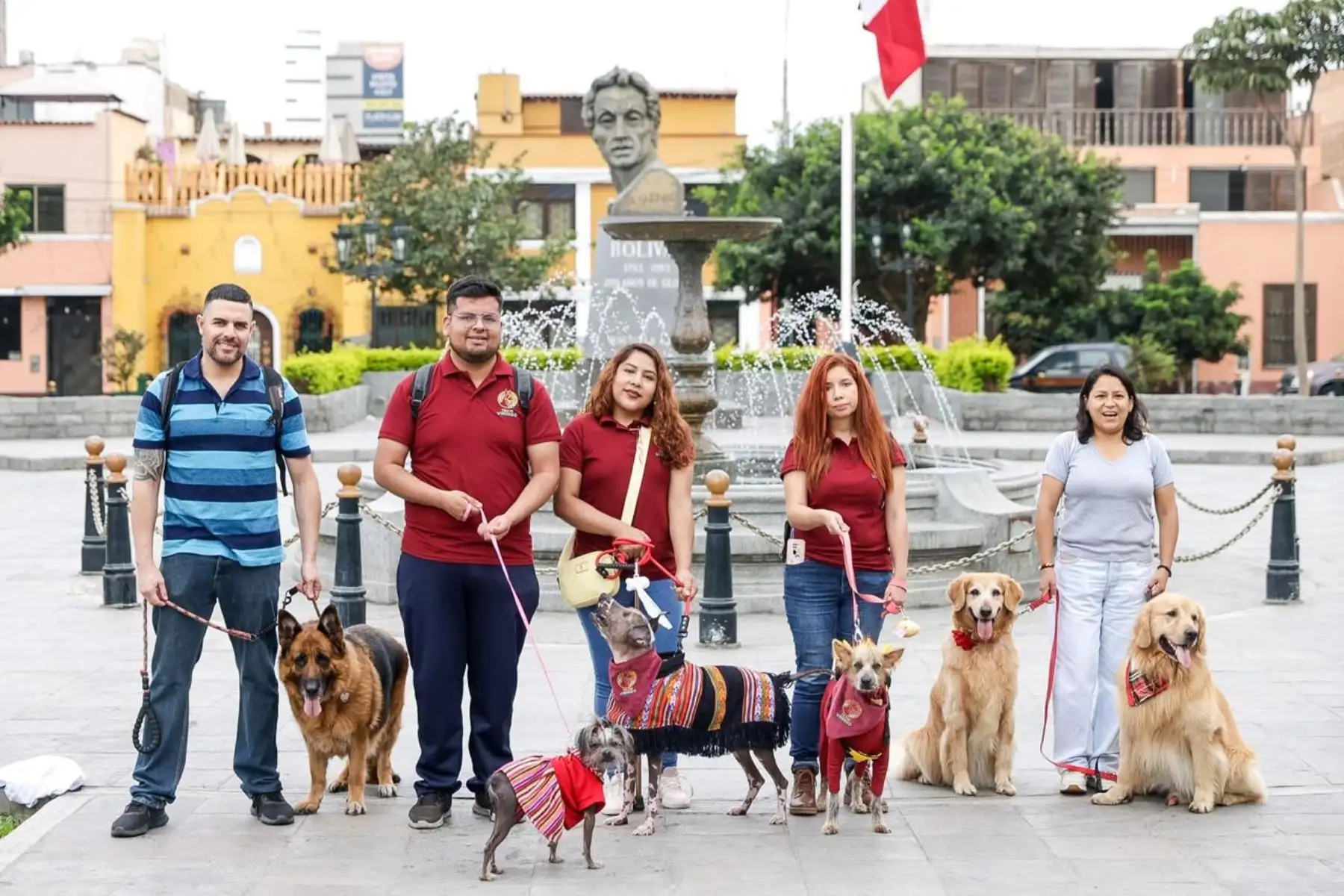 En 2025, el 52,2 % de los hogares del país tuvo al menos un perro como mascota, según informó el INEI a partir de la ENAHO. Foto: ANDINA/Luis Iparraguirre.
3. La tenencia de perros fue mayor en los hogares rurales, donde el 62,5 % contó con al menos uno, frente al 49,6 % de los hogares urbanos. Foto: ANDINA/Luis Iparraguirre.