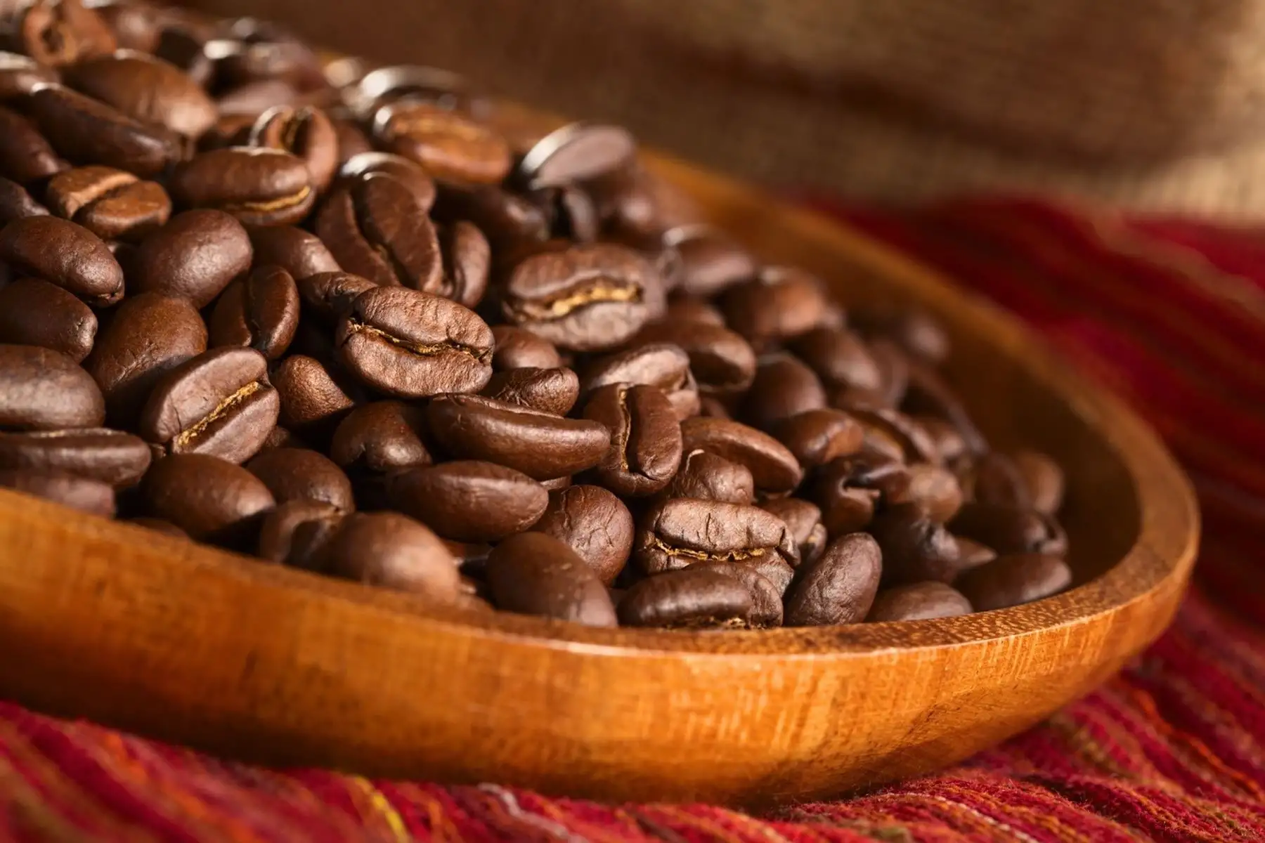 CITE Oxapampa promueve transformación de café y cacao para generar mayor valor agregado
