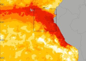 Dos ondas Kevin se encuentran en el mar peruano y eso explica las anomalías térmicas, informó el vocero del IMARPE, Luis Vásquez, quien adelantó que entre septiembre y noviembre se espera el arribo de otras cuatro ondas Kelvin cálidas consolidando el fenómeno El Niño Costero en Perú.