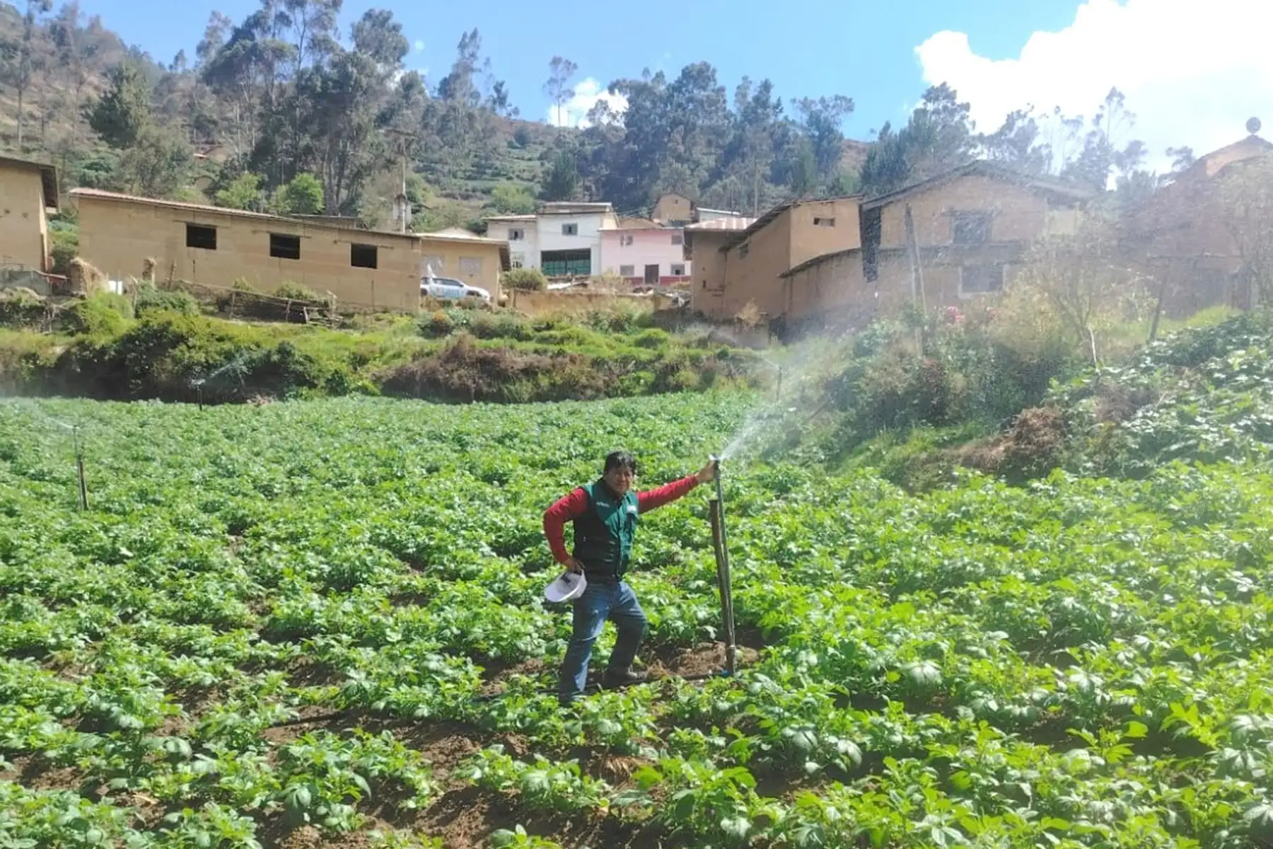 Startup impulsada por ProInnóvate optimiza riego agrícola para mayor valor exportable